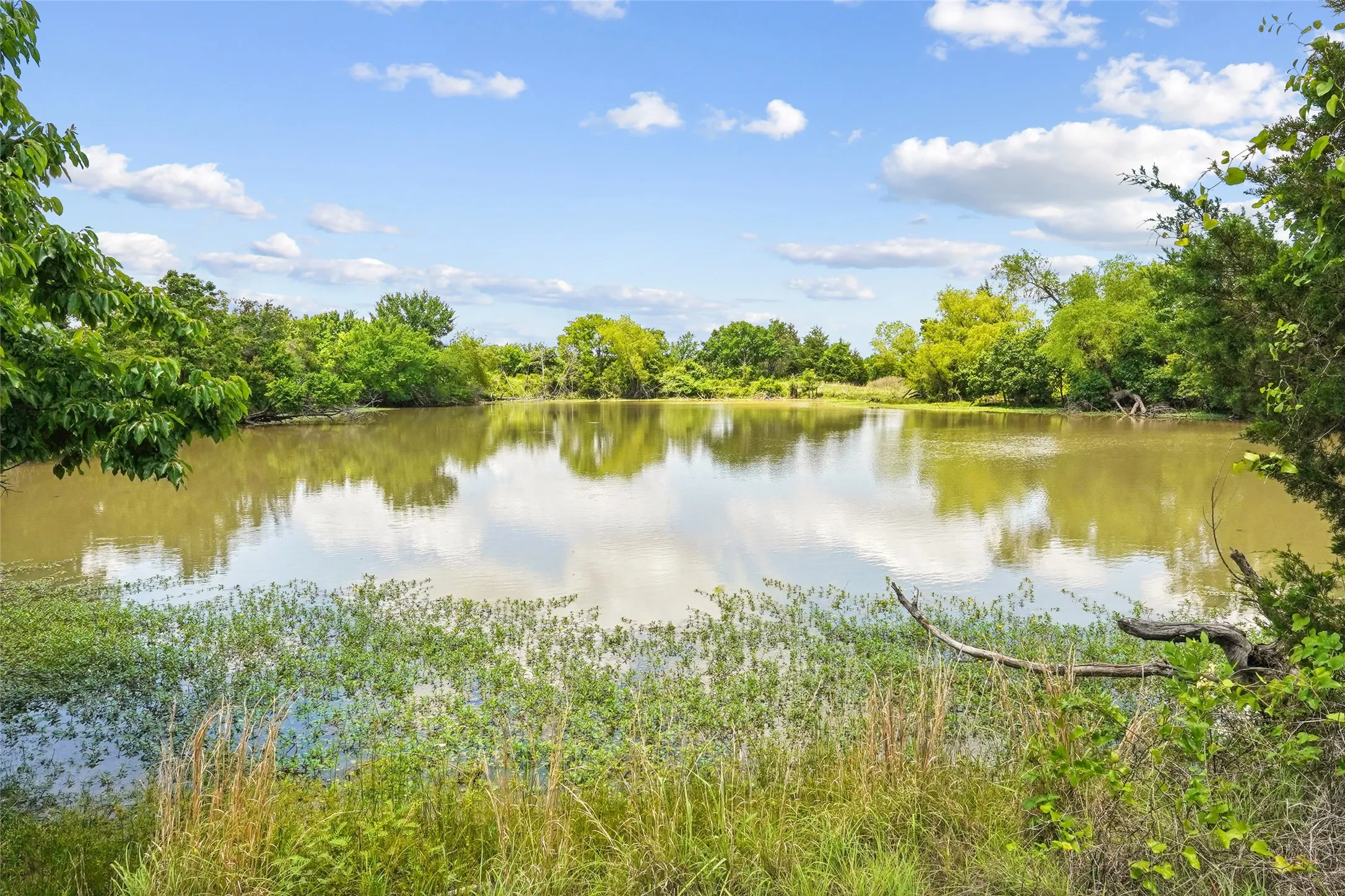 Unimproved Land For Sale in Montague County , TBD School House Road, Forestburg, Texas 76239, 0, 0, Garage spaces, 0 Sqft, built in 0, mls#21276215, Real Estate Agent in Forestburg, Homes For Sale in Montague county, Homes For Sale in Forestburg, Realtor in Forestburg Texas, Real Estate Brokerage Independent Realty Texas, Luminita Cordes Realtor