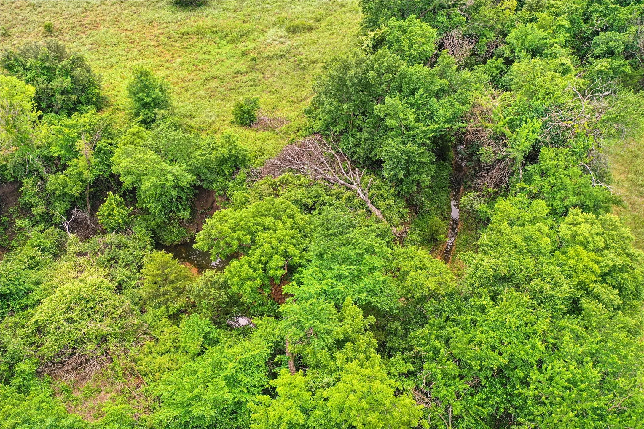Unimproved Land For Sale in Montague County , TBD School House Road, Forestburg, Texas 76239, 0, 0, Garage spaces, 0 Sqft, built in 0, mls#21276215, Real Estate Agent in Forestburg, Homes For Sale in Montague county, Homes For Sale in Forestburg, Realtor in Forestburg Texas, Real Estate Brokerage Independent Realty Texas, Luminita Cordes Realtor
