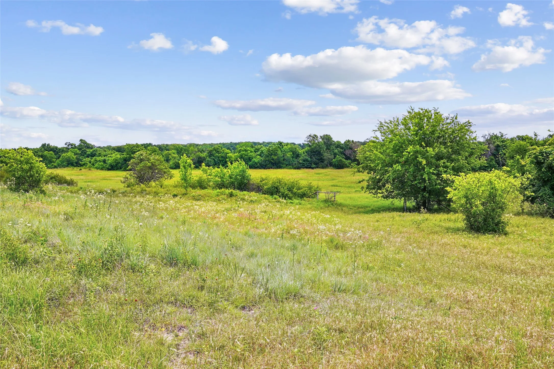 Unimproved Land For Sale in Montague County , TBD School House Road, Forestburg, Texas 76239, 0, 0, Garage spaces, 0 Sqft, built in 0, mls#21276215, Real Estate Agent in Forestburg, Homes For Sale in Montague county, Homes For Sale in Forestburg, Realtor in Forestburg Texas, Real Estate Brokerage Independent Realty Texas, Luminita Cordes Realtor