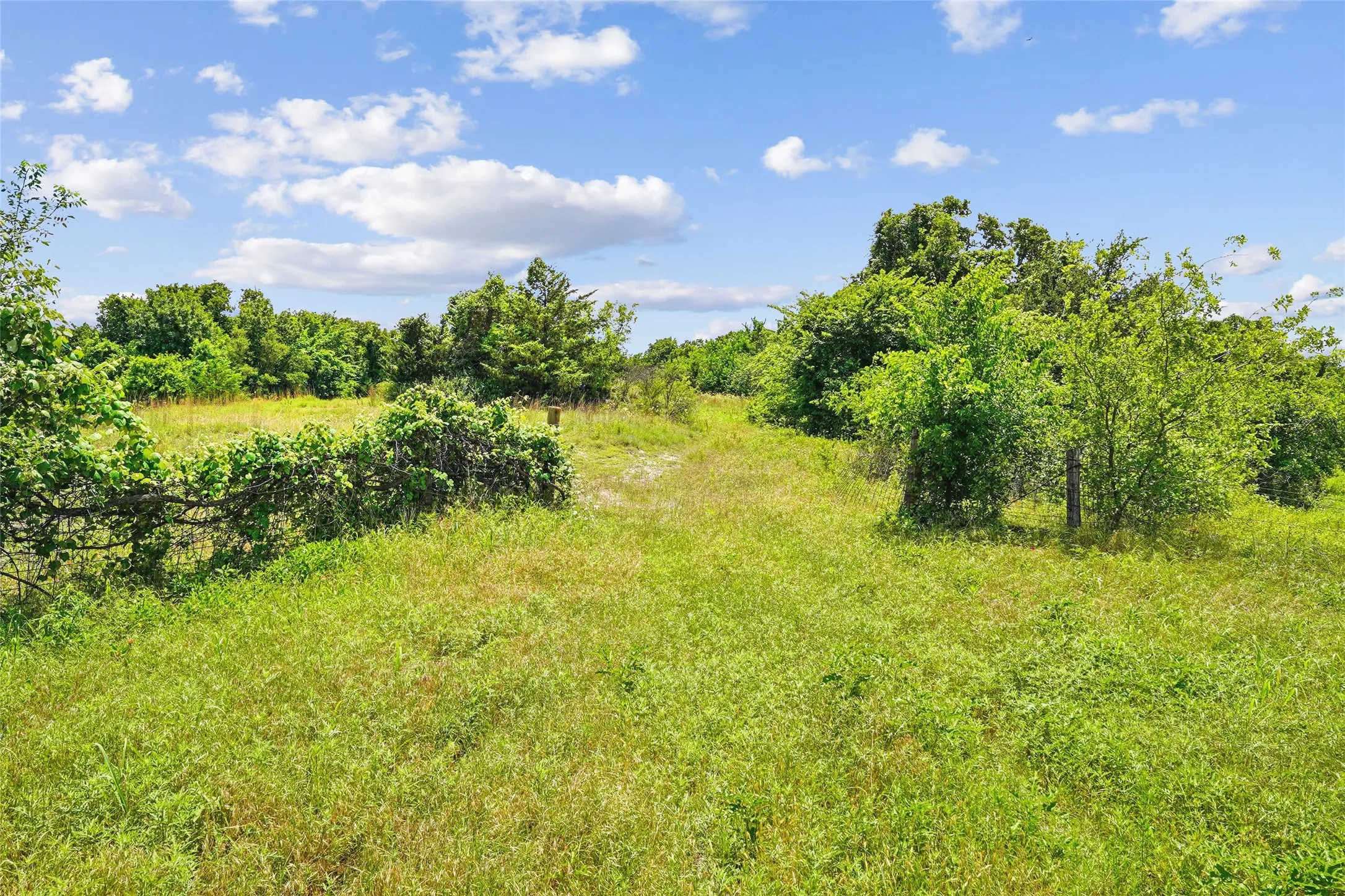 Unimproved Land For Sale in Montague County , TBD School House Road, Forestburg, Texas 76239, 0, 0, Garage spaces, 0 Sqft, built in 0, mls#21276215, Real Estate Agent in Forestburg, Homes For Sale in Montague county, Homes For Sale in Forestburg, Realtor in Forestburg Texas, Real Estate Brokerage Independent Realty Texas, Luminita Cordes Realtor