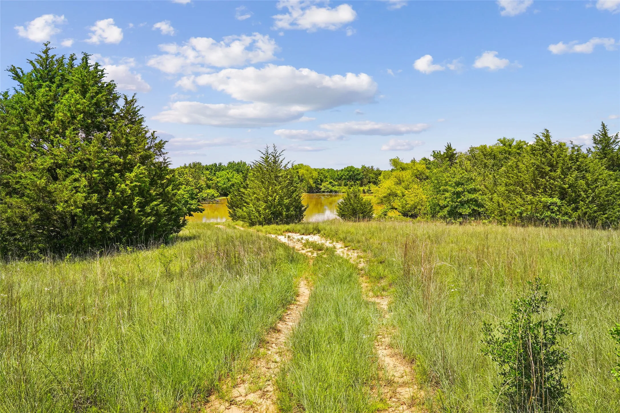 Unimproved Land For Sale in Montague County , TBD School House Road, Forestburg, Texas 76239, 0, 0, Garage spaces, 0 Sqft, built in 0, mls#21276215, Real Estate Agent in Forestburg, Homes For Sale in Montague county, Homes For Sale in Forestburg, Realtor in Forestburg Texas, Real Estate Brokerage Independent Realty Texas, Luminita Cordes Realtor