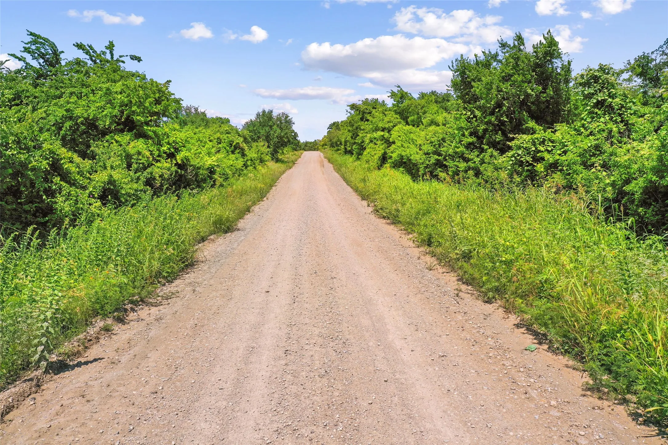 Unimproved Land For Sale in Montague County , TBD School House Road, Forestburg, Texas 76239, 0, 0, Garage spaces, 0 Sqft, built in 0, mls#21276215, Real Estate Agent in Forestburg, Homes For Sale in Montague county, Homes For Sale in Forestburg, Realtor in Forestburg Texas, Real Estate Brokerage Independent Realty Texas, Luminita Cordes Realtor