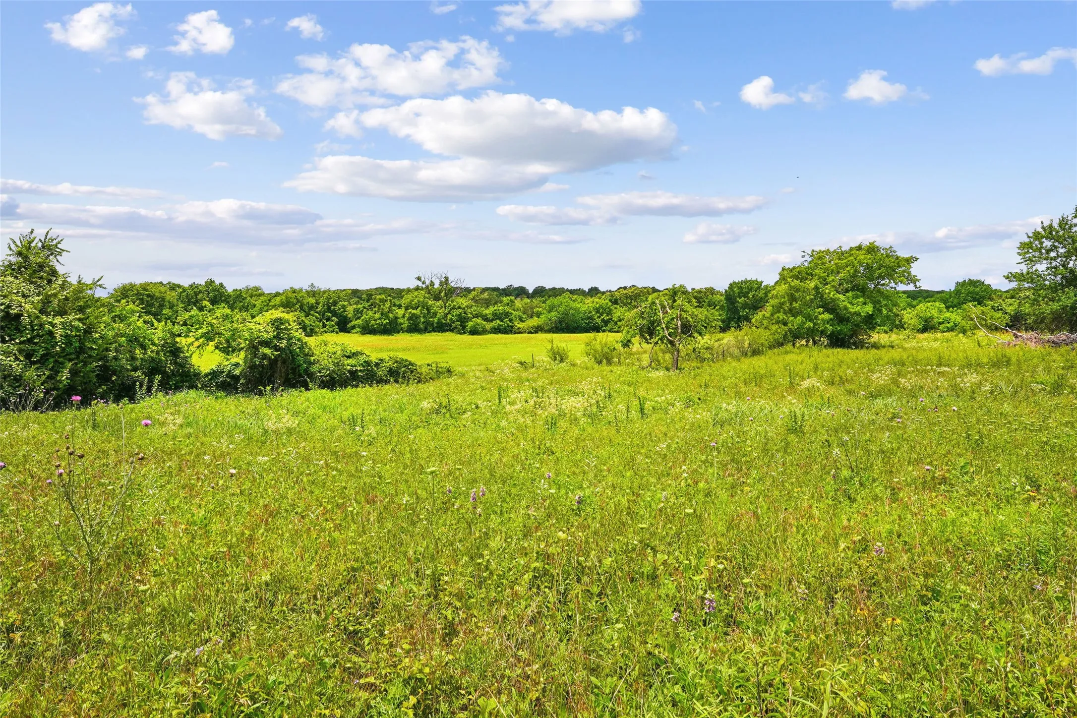 Unimproved Land For Sale in Montague County , TBD School House Road, Forestburg, Texas 76239, 0, 0, Garage spaces, 0 Sqft, built in 0, mls#21276215, Real Estate Agent in Forestburg, Homes For Sale in Montague county, Homes For Sale in Forestburg, Realtor in Forestburg Texas, Real Estate Brokerage Independent Realty Texas, Luminita Cordes Realtor