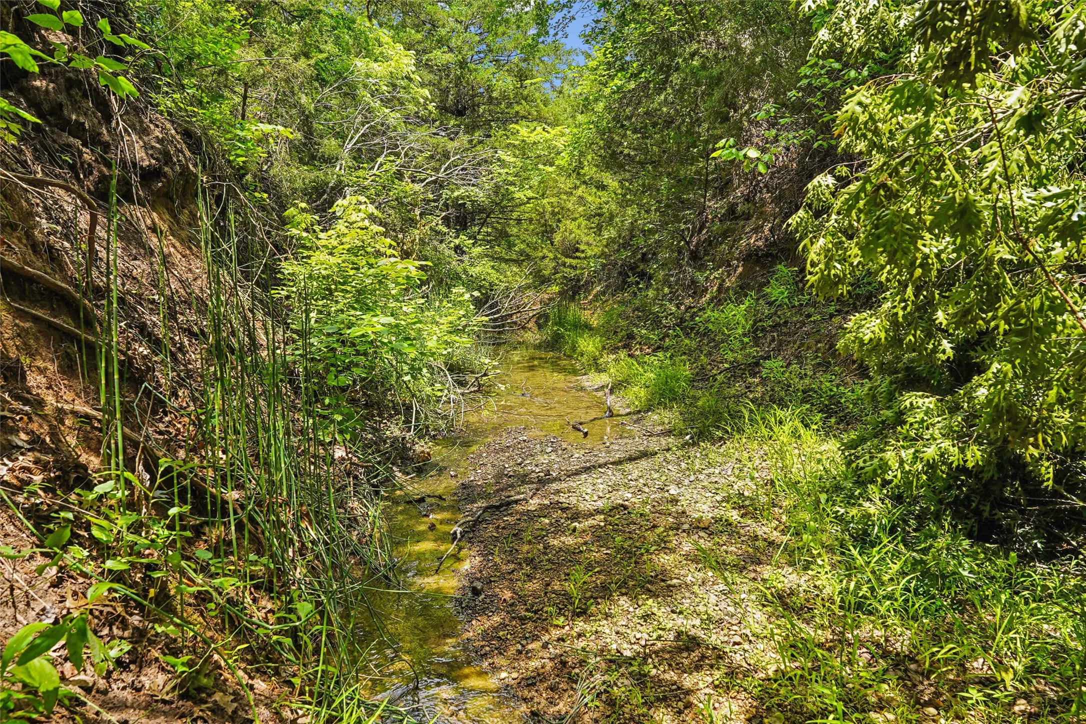Unimproved Land For Sale in Montague County , TBD School House Road, Forestburg, Texas 76239, 0, 0, Garage spaces, 0 Sqft, built in 0, mls#21276215, Real Estate Agent in Forestburg, Homes For Sale in Montague county, Homes For Sale in Forestburg, Realtor in Forestburg Texas, Real Estate Brokerage Independent Realty Texas, Luminita Cordes Realtor
