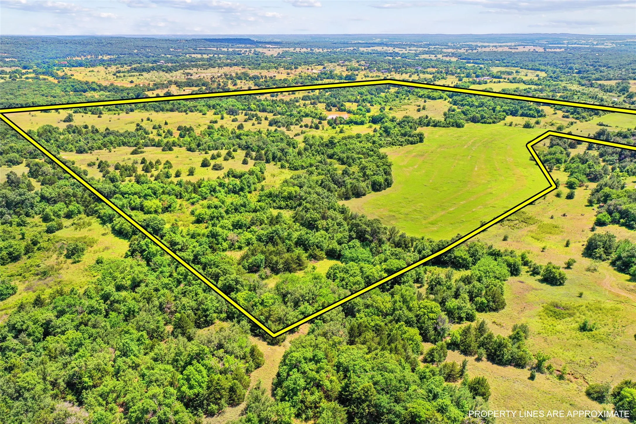 Unimproved Land For Sale in Montague County , TBD School House Road, Forestburg, Texas 76239, 0, 0, Garage spaces, 0 Sqft, built in 0, mls#21276215, Real Estate Agent in Forestburg, Homes For Sale in Montague county, Homes For Sale in Forestburg, Realtor in Forestburg Texas, Real Estate Brokerage Independent Realty Texas, Luminita Cordes Realtor