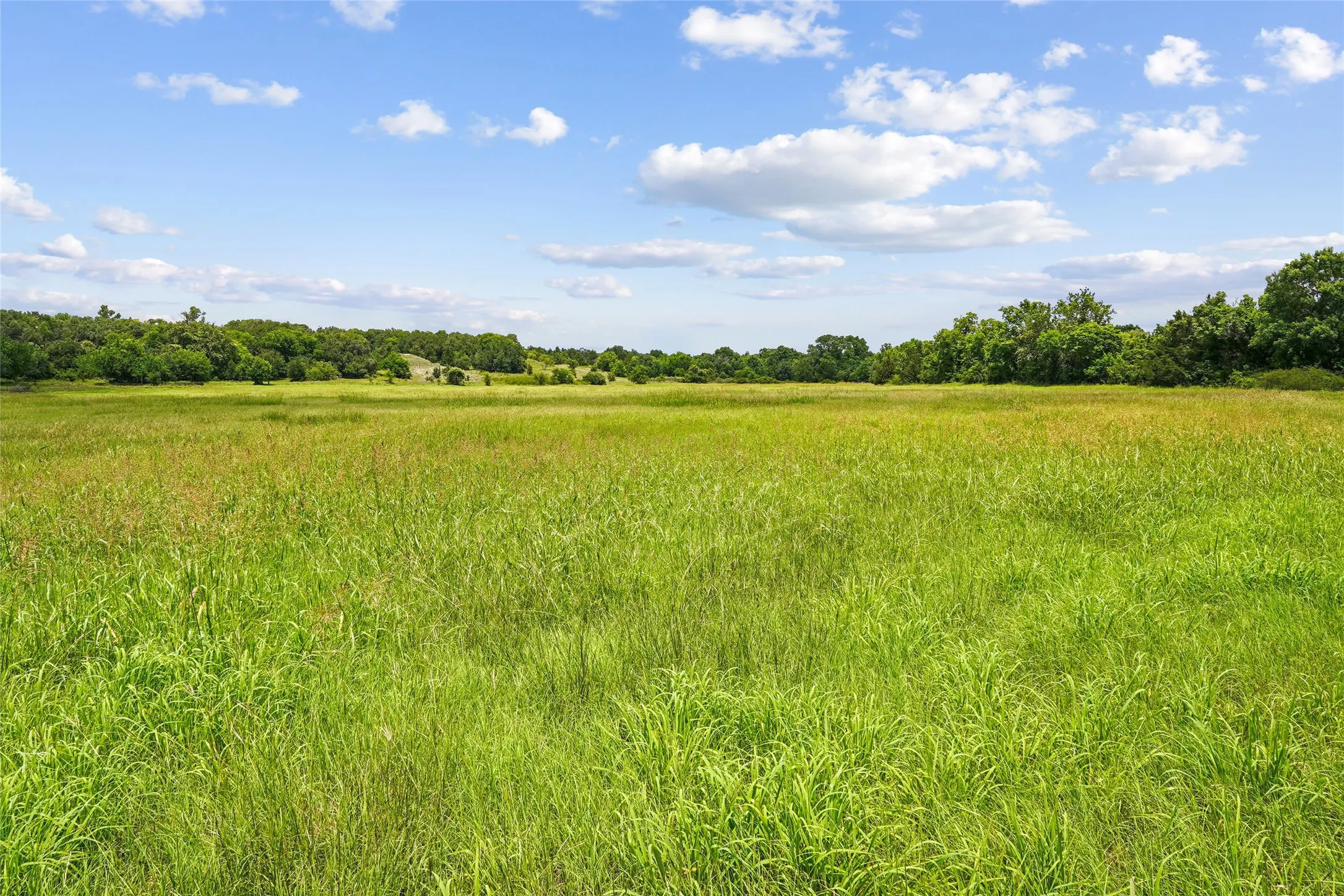 Unimproved Land For Sale in Montague County , TBD School House Road, Forestburg, Texas 76239, 0, 0, Garage spaces, 0 Sqft, built in 0, mls#21276215, Real Estate Agent in Forestburg, Homes For Sale in Montague county, Homes For Sale in Forestburg, Realtor in Forestburg Texas, Real Estate Brokerage Independent Realty Texas, Luminita Cordes Realtor