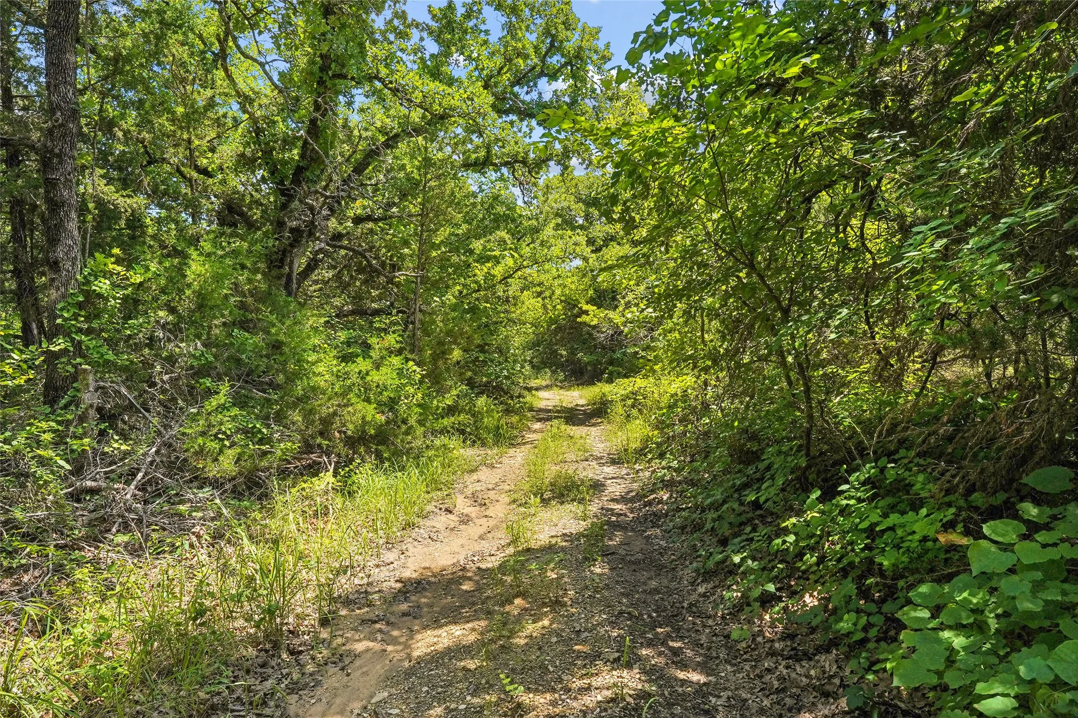 Unimproved Land For Sale in Montague County , TBD School House Road, Forestburg, Texas 76239, 0, 0, Garage spaces, 0 Sqft, built in 0, mls#21276215, Real Estate Agent in Forestburg, Homes For Sale in Montague county, Homes For Sale in Forestburg, Realtor in Forestburg Texas, Real Estate Brokerage Independent Realty Texas, Luminita Cordes Realtor