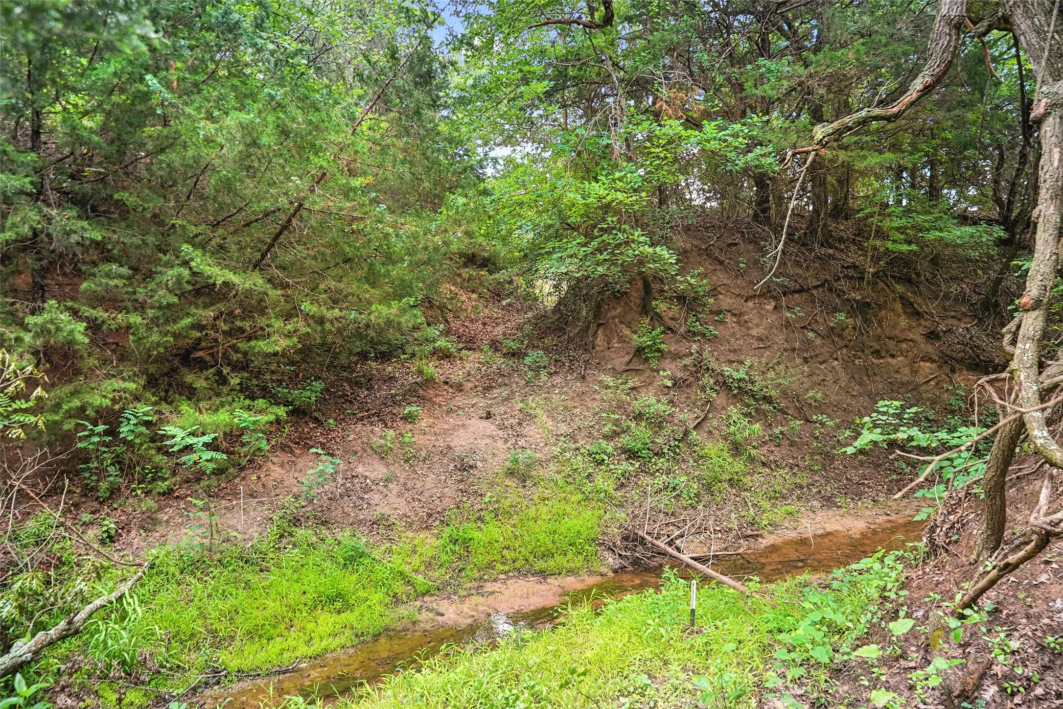 Unimproved Land For Sale in Montague County , TBD School House Road, Forestburg, Texas 76239, 0, 0, Garage spaces, 0 Sqft, built in 0, mls#21276215, Real Estate Agent in Forestburg, Homes For Sale in Montague county, Homes For Sale in Forestburg, Realtor in Forestburg Texas, Real Estate Brokerage Independent Realty Texas, Luminita Cordes Realtor