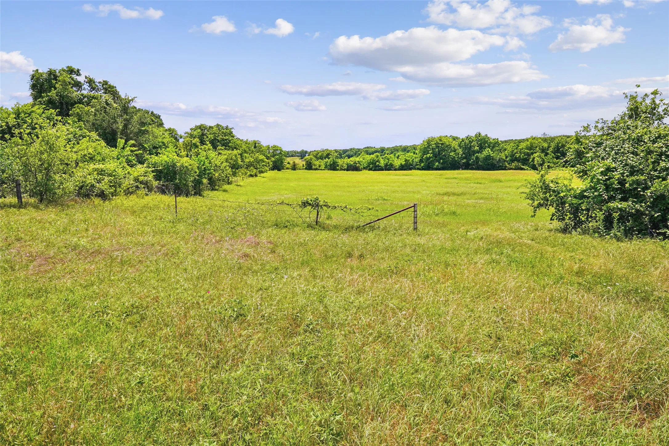 Unimproved Land For Sale in Montague County , TBD School House Road, Forestburg, Texas 76239, 0, 0, Garage spaces, 0 Sqft, built in 0, mls#21276215, Real Estate Agent in Forestburg, Homes For Sale in Montague county, Homes For Sale in Forestburg, Realtor in Forestburg Texas, Real Estate Brokerage Independent Realty Texas, Luminita Cordes Realtor