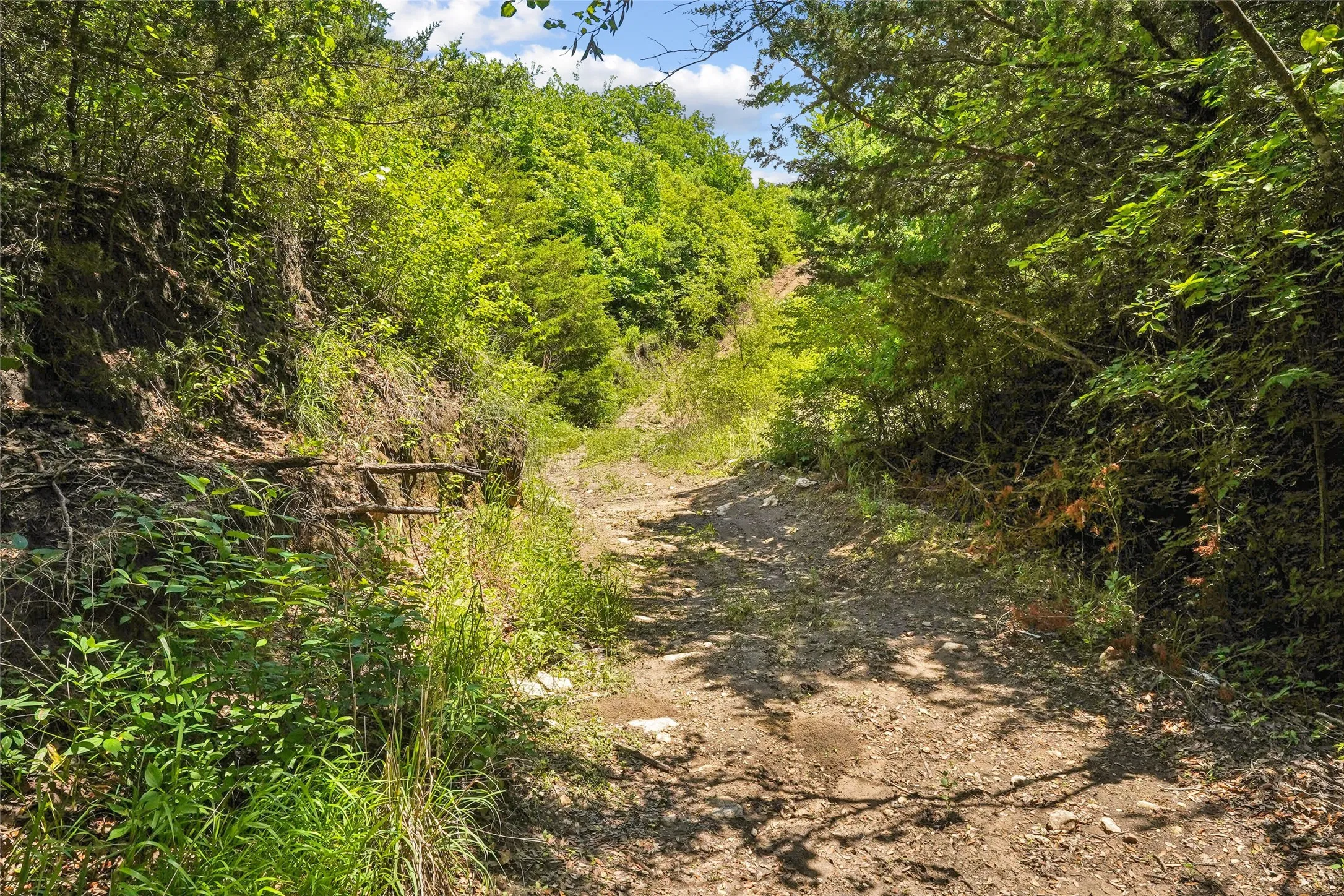 Unimproved Land For Sale in Montague County , TBD School House Road, Forestburg, Texas 76239, 0, 0, Garage spaces, 0 Sqft, built in 0, mls#21276215, Real Estate Agent in Forestburg, Homes For Sale in Montague county, Homes For Sale in Forestburg, Realtor in Forestburg Texas, Real Estate Brokerage Independent Realty Texas, Luminita Cordes Realtor