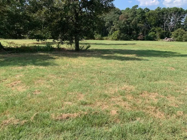 Improved Land For Sale in Cherokee County , Lots 1-12 CR 3605, Bullard, Texas 75757, 0, 0, Garage spaces, 0 Sqft, built in 0, Price $1,856,400, mls#21302215, Real Estate Agent in Bullard, Homes For Sale in Cherokee county, Homes For Sale in Bullard, Realtor in Bullard Texas, Real Estate Brokerage Independent Realty Texas, Luminita Cordes Realtor