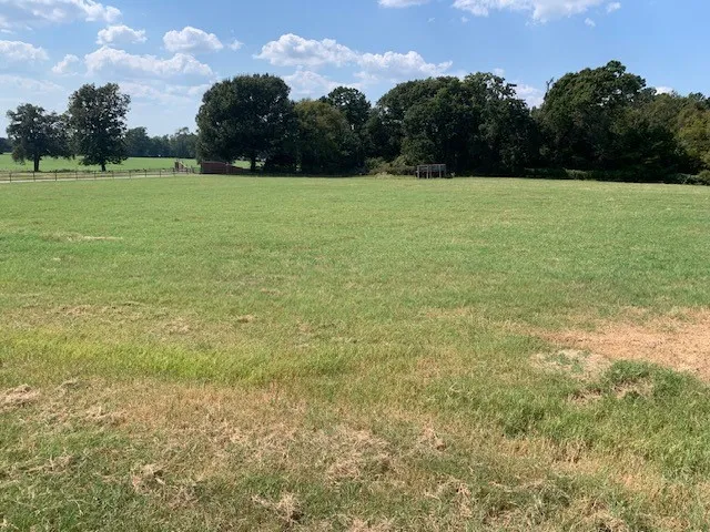 Improved Land For Sale in Cherokee County , Lots 1-12 CR 3605, Bullard, Texas 75757, 0, 0, Garage spaces, 0 Sqft, built in 0, Price $1,856,400, mls#21302215, Real Estate Agent in Bullard, Homes For Sale in Cherokee county, Homes For Sale in Bullard, Realtor in Bullard Texas, Real Estate Brokerage Independent Realty Texas, Luminita Cordes Realtor