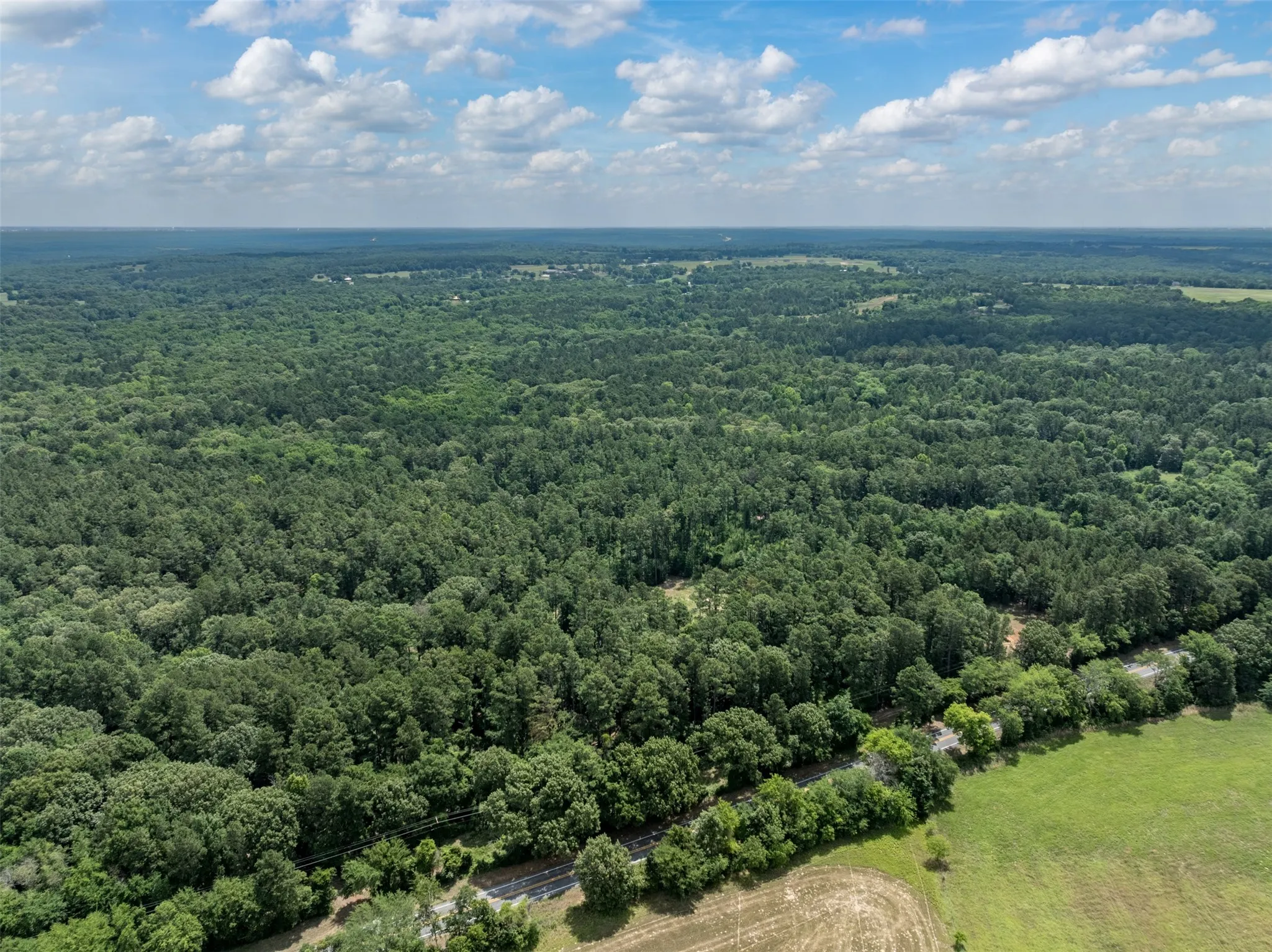 Unimproved Land For Sale in Smith County , 16210 State Highway 110 N, Lindale, Texas 75771, 0, 0, Garage spaces, 0 Sqft, built in 0, Price $1,250,000, mls#21300236, Real Estate Agent in Lindale, Homes For Sale in Smith county, Homes For Sale in Lindale, Realtor in Lindale Texas, Real Estate Brokerage Independent Realty Texas, Luminita Cordes Realtor