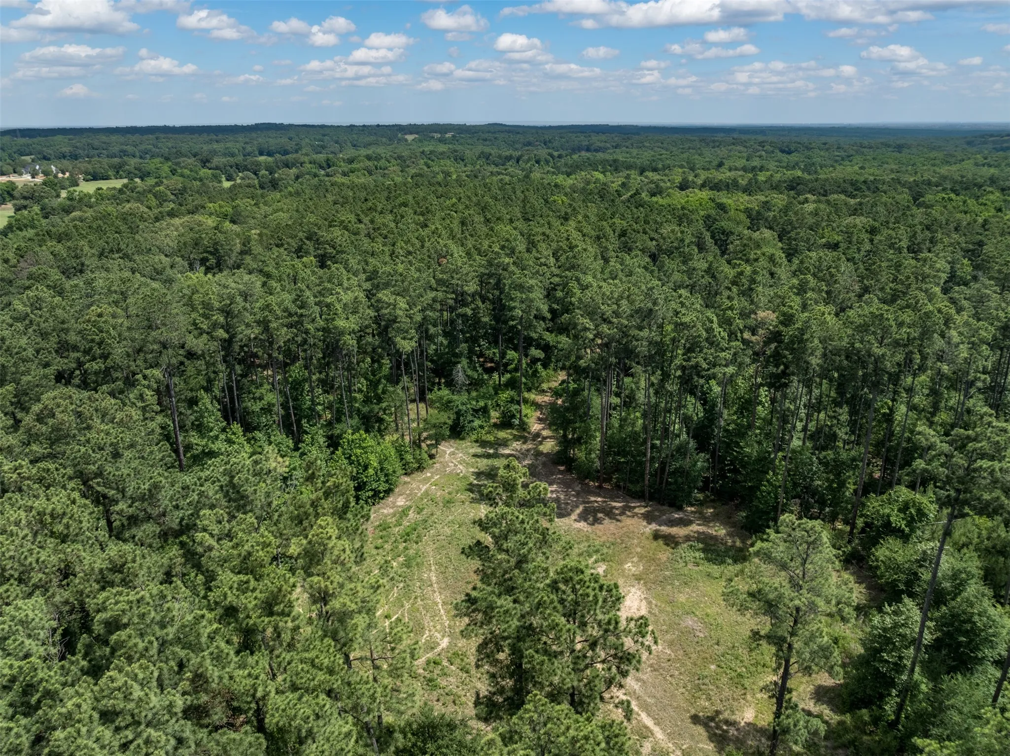 Unimproved Land For Sale in Smith County , 16210 State Highway 110 N, Lindale, Texas 75771, 0, 0, Garage spaces, 0 Sqft, built in 0, Price $1,250,000, mls#21300236, Real Estate Agent in Lindale, Homes For Sale in Smith county, Homes For Sale in Lindale, Realtor in Lindale Texas, Real Estate Brokerage Independent Realty Texas, Luminita Cordes Realtor