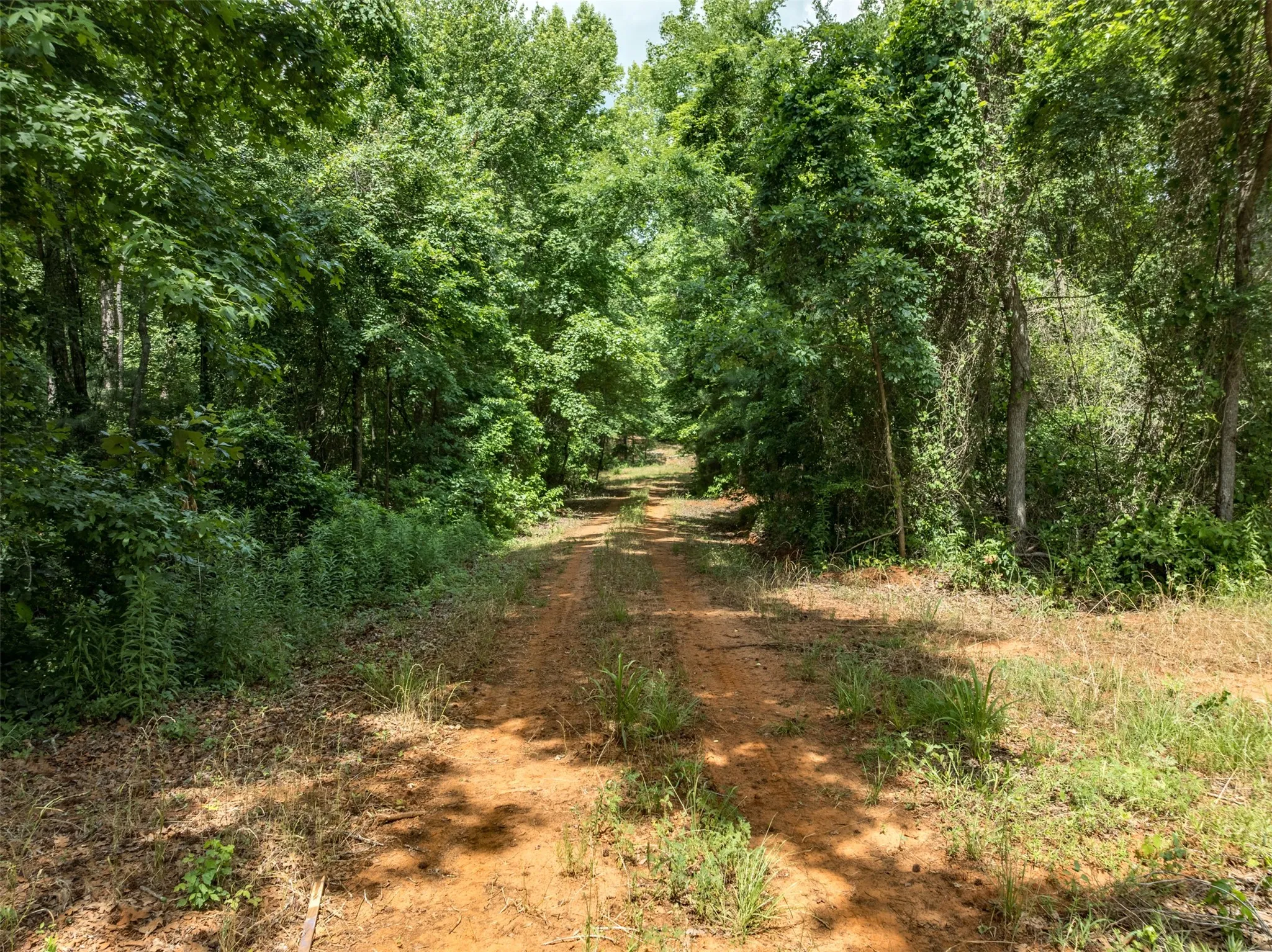 Unimproved Land For Sale in Smith County , 16210 State Highway 110 N, Lindale, Texas 75771, 0, 0, Garage spaces, 0 Sqft, built in 0, Price $1,250,000, mls#21300236, Real Estate Agent in Lindale, Homes For Sale in Smith county, Homes For Sale in Lindale, Realtor in Lindale Texas, Real Estate Brokerage Independent Realty Texas, Luminita Cordes Realtor