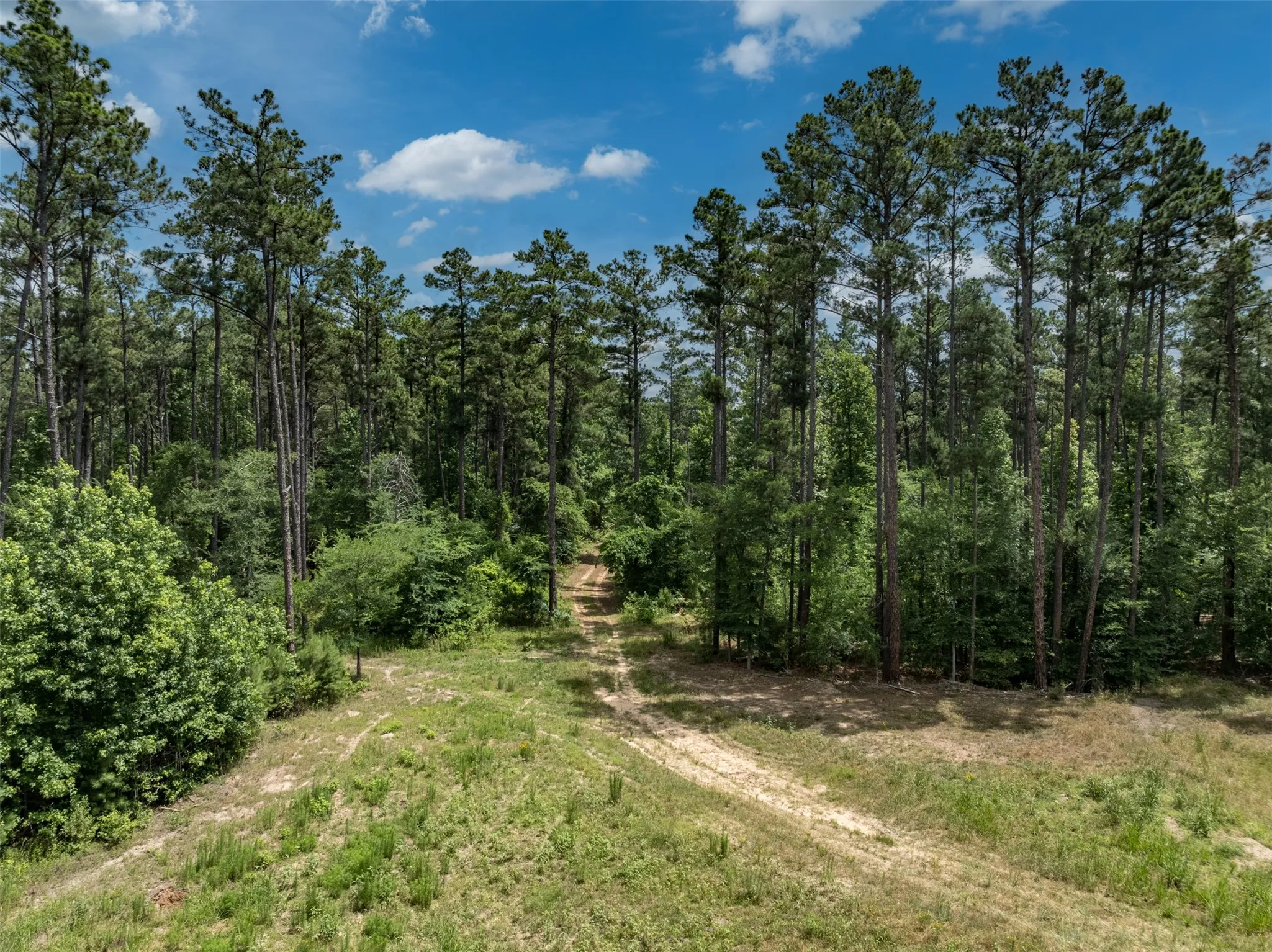 Unimproved Land For Sale in Smith County , 16210 State Highway 110 N, Lindale, Texas 75771, 0, 0, Garage spaces, 0 Sqft, built in 0, Price $1,250,000, mls#21300236, Real Estate Agent in Lindale, Homes For Sale in Smith county, Homes For Sale in Lindale, Realtor in Lindale Texas, Real Estate Brokerage Independent Realty Texas, Luminita Cordes Realtor
