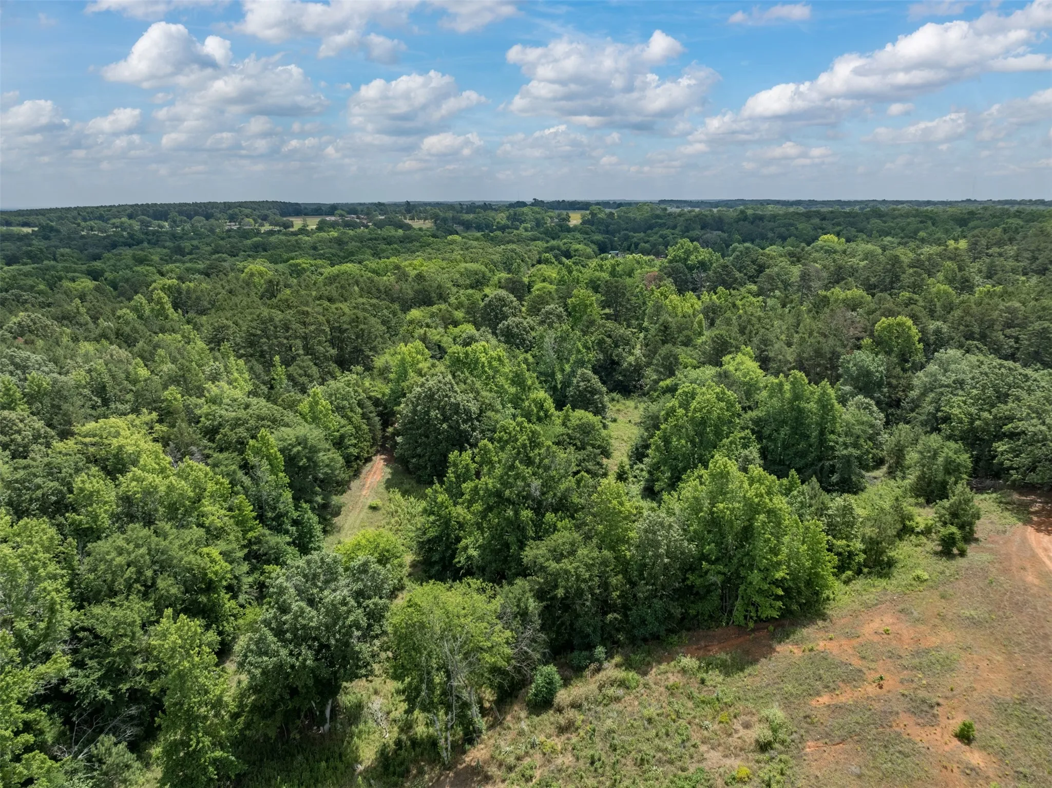 Unimproved Land For Sale in Smith County , 16210 State Highway 110 N, Lindale, Texas 75771, 0, 0, Garage spaces, 0 Sqft, built in 0, Price $1,250,000, mls#21300236, Real Estate Agent in Lindale, Homes For Sale in Smith county, Homes For Sale in Lindale, Realtor in Lindale Texas, Real Estate Brokerage Independent Realty Texas, Luminita Cordes Realtor