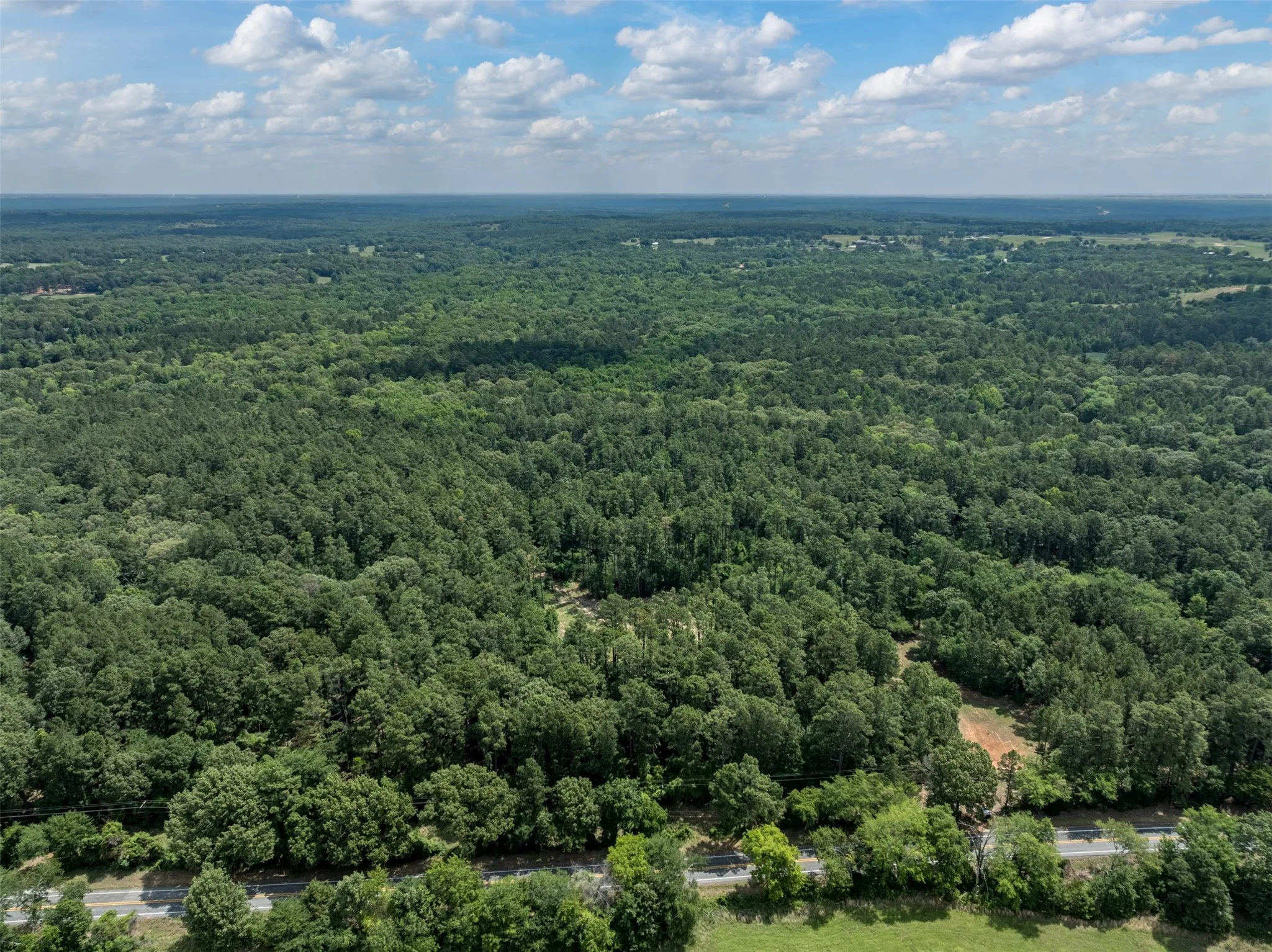 Unimproved Land For Sale in Smith County , 16210 State Highway 110 N, Lindale, Texas 75771, 0, 0, Garage spaces, 0 Sqft, built in 0, Price $1,250,000, mls#21300236, Real Estate Agent in Lindale, Homes For Sale in Smith county, Homes For Sale in Lindale, Realtor in Lindale Texas, Real Estate Brokerage Independent Realty Texas, Luminita Cordes Realtor