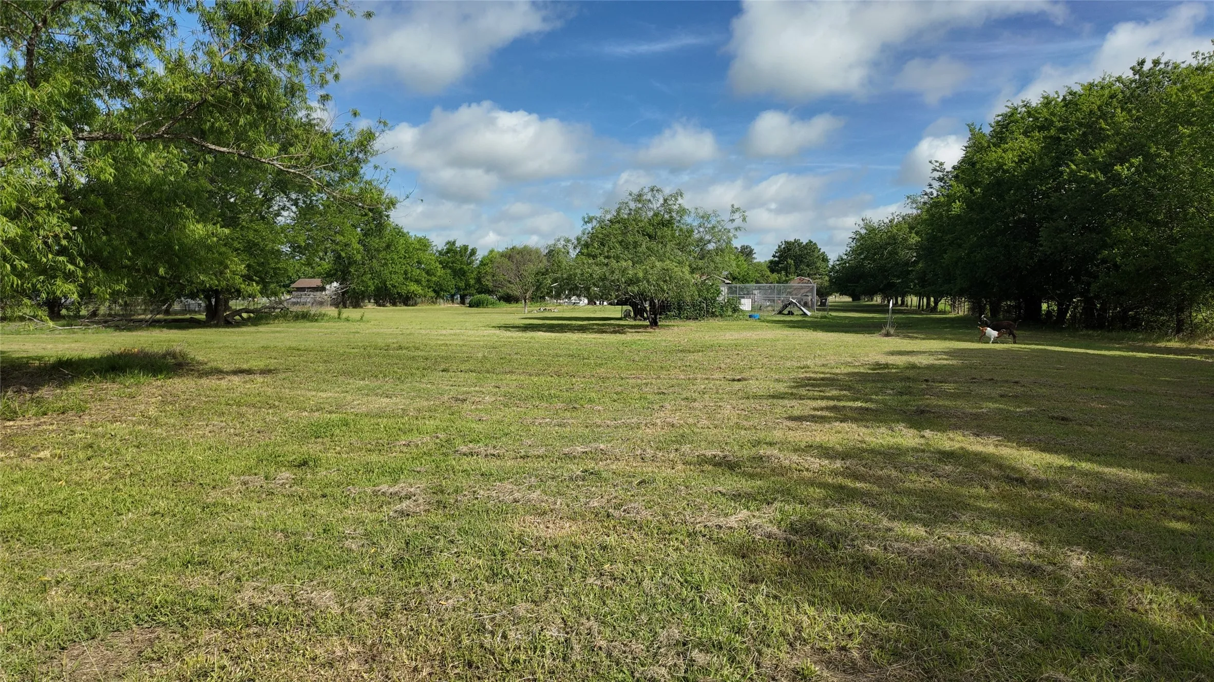 Single Family Residence For Sale in Kaufman County , 6709 Sue Ann Lane, Terrell, Texas 75161, 2 Bedroom, 1 Bathroom, Garage spaces, 879 Sqft, built in 2012, mls#21290790, Real Estate Agent in Terrell, Homes For Sale in Kaufman county, Homes For Sale in Terrell, Realtor in Terrell Texas, Real Estate Brokerage Independent Realty Texas, Luminita Cordes Realtor