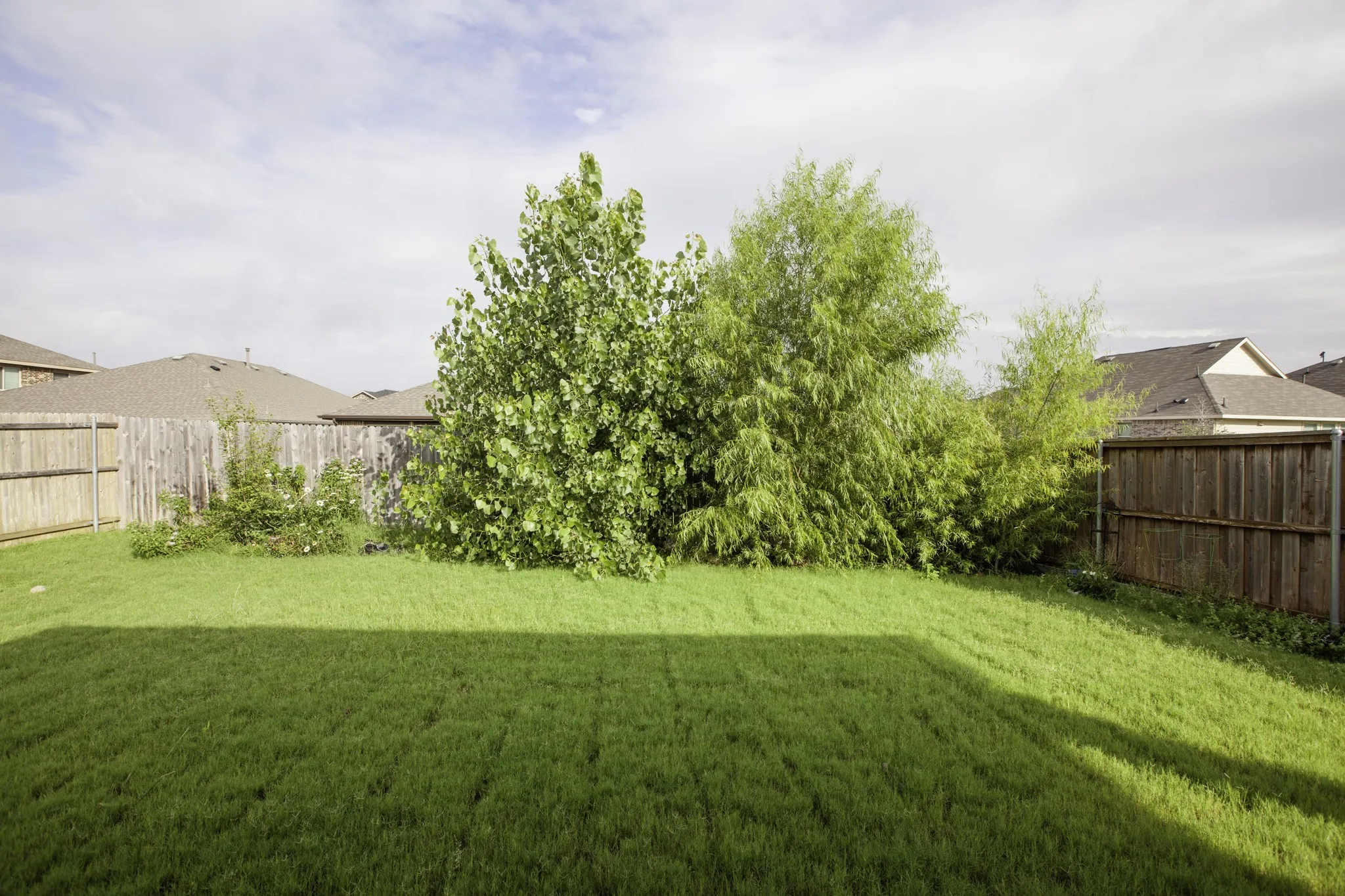 Single Family Residence For Rent in Kaufman County , 3811 Thomas Plains Drive, Forney, Texas 75126, 4 Bedroom, 3 Bathroom, 2 Garage spaces, 2,728 Sqft, built in 2022, mls#21302275, Real Estate Agent in Forney, Homes For Rent in Kaufman county, Homes For Rent in Forney, Realtor in Forney Texas, Real Estate Brokerage Independent Realty Texas, Luminita Cordes Realtor