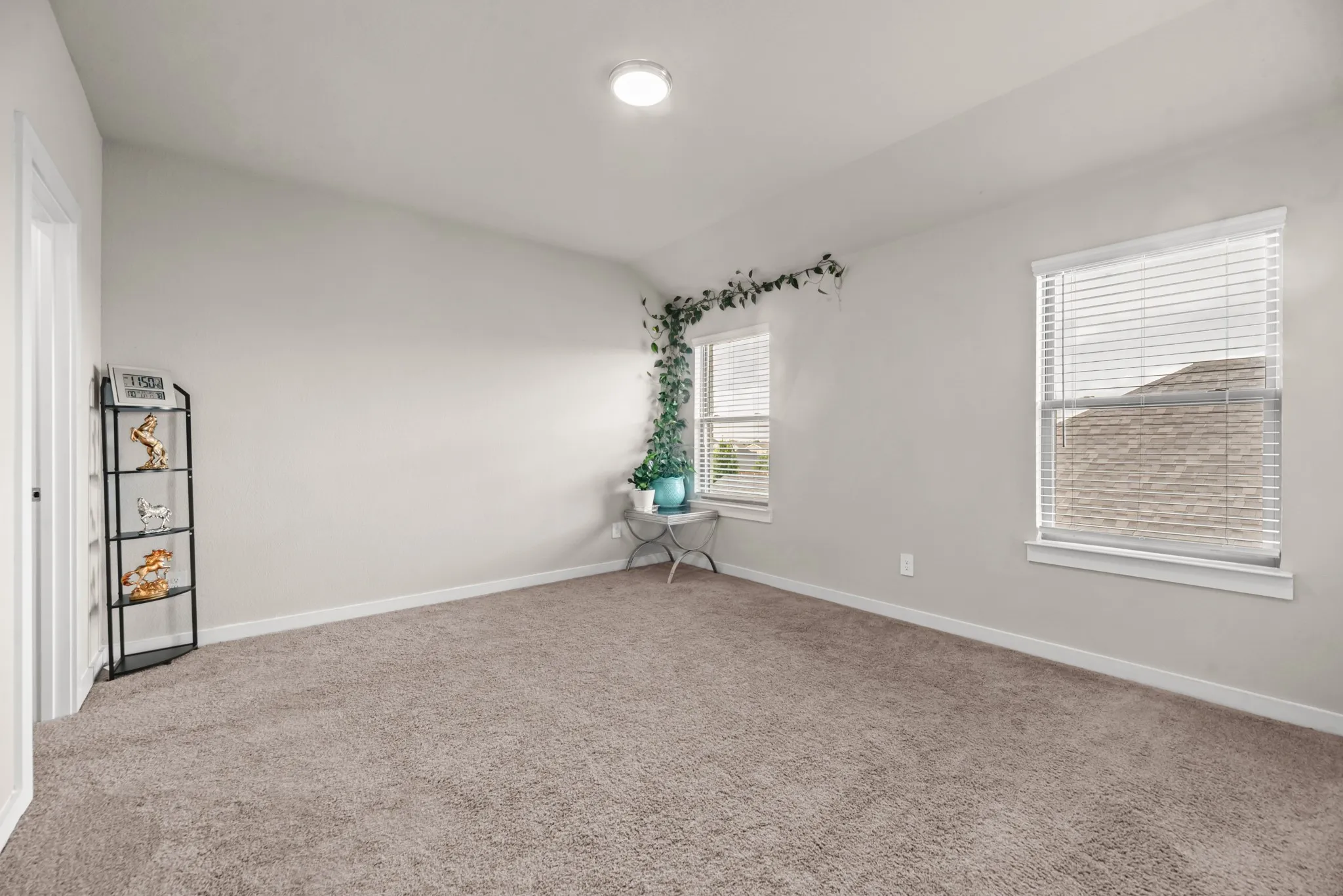 Spacious room featuring neutral carpeting, light-toned walls, two windows with blinds, and white trim