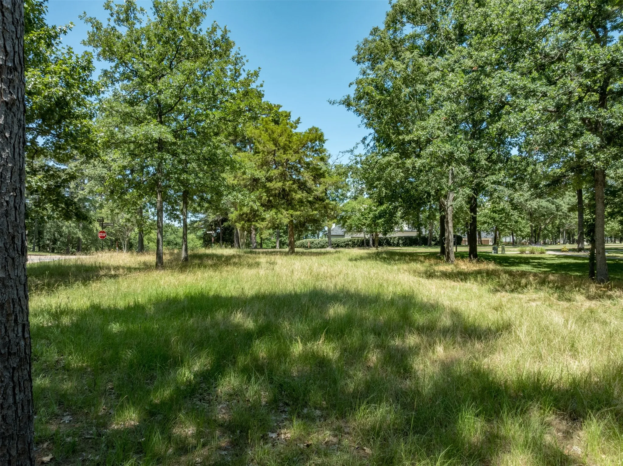 Unimproved Land For Sale in Cherokee County , 137 Eagles Bluff Blvd S, Bullard, Texas 75757, 0, 0, Garage spaces, 0 Sqft, built in 0, mls#21302339, Real Estate Agent in Bullard, Homes For Sale in Cherokee county, Homes For Sale in Bullard, Realtor in Bullard Texas, Real Estate Brokerage Independent Realty Texas, Luminita Cordes Realtor