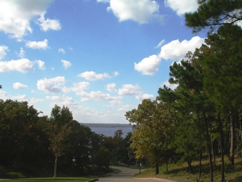 Unimproved Land For Sale in Cherokee County , 137 Eagles Bluff Blvd S, Bullard, Texas 75757, 0, 0, Garage spaces, 0 Sqft, built in 0, mls#21302339, Real Estate Agent in Bullard, Homes For Sale in Cherokee county, Homes For Sale in Bullard, Realtor in Bullard Texas, Real Estate Brokerage Independent Realty Texas, Luminita Cordes Realtor