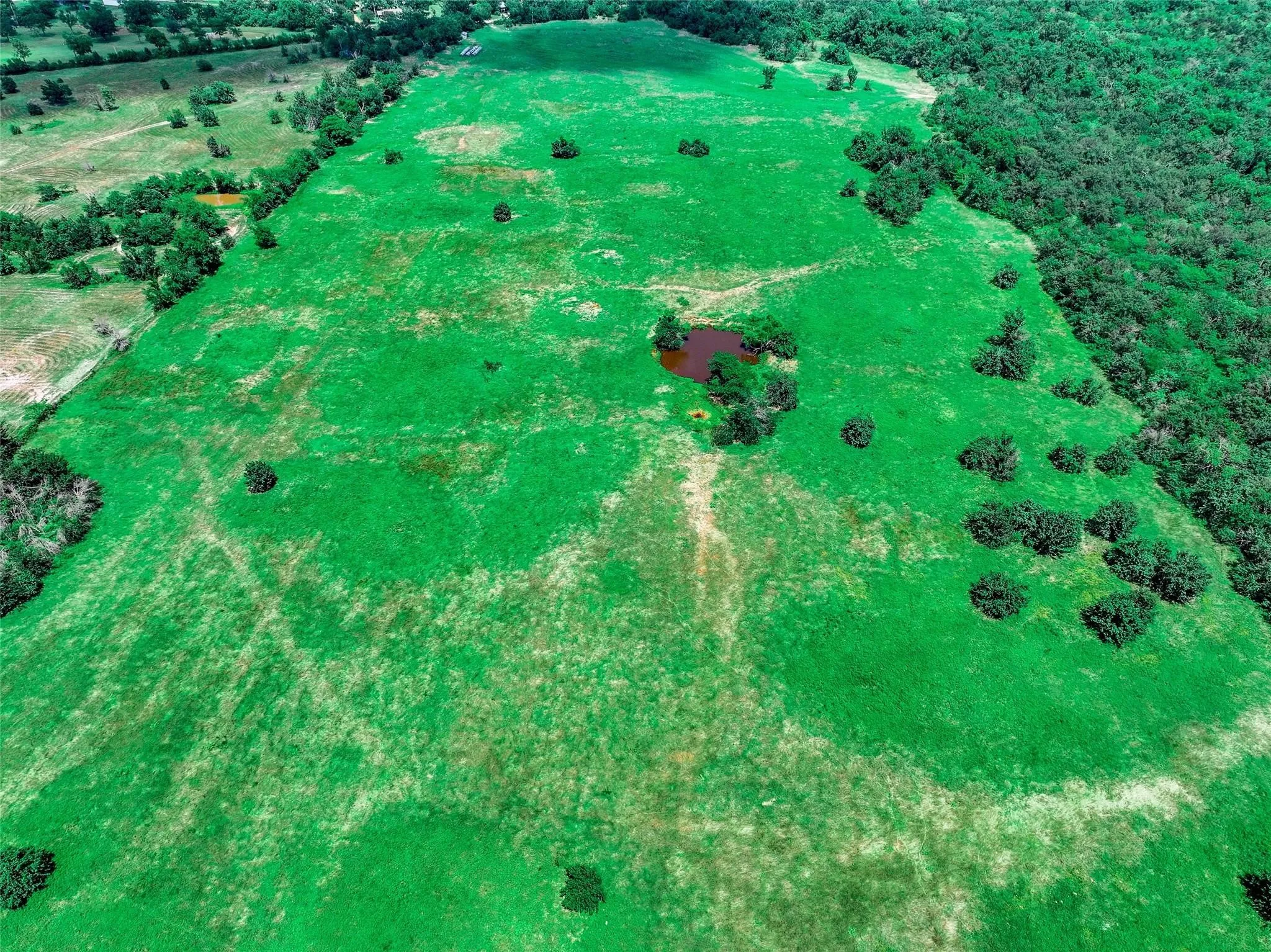 Unimproved Land For Sale in Hopkins County , 41 Acres 7th Street, Sulphur Springs, Texas 75482, 0, 0, Garage spaces, 0 Sqft, built in 0, Price $890,000, mls#21302151, Real Estate Agent in Sulphur Springs, Homes For Sale in Hopkins county, Homes For Sale in Sulphur Springs, Realtor in Sulphur Springs Texas, Real Estate Brokerage Independent Realty Texas, Luminita Cordes Realtor