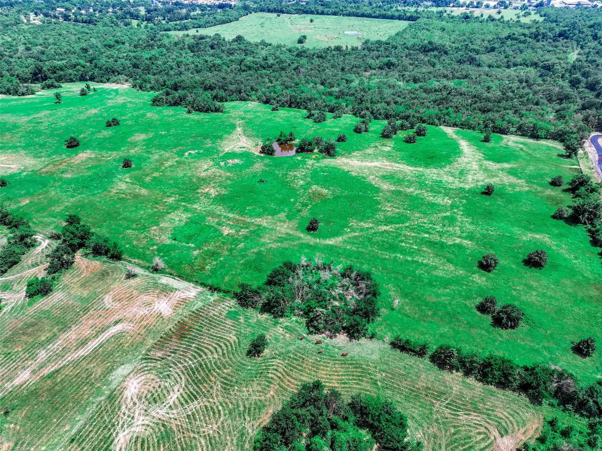 Unimproved Land For Sale in Hopkins County , 41 Acres 7th Street, Sulphur Springs, Texas 75482, 0, 0, Garage spaces, 0 Sqft, built in 0, Price $890,000, mls#21302151, Real Estate Agent in Sulphur Springs, Homes For Sale in Hopkins county, Homes For Sale in Sulphur Springs, Realtor in Sulphur Springs Texas, Real Estate Brokerage Independent Realty Texas, Luminita Cordes Realtor