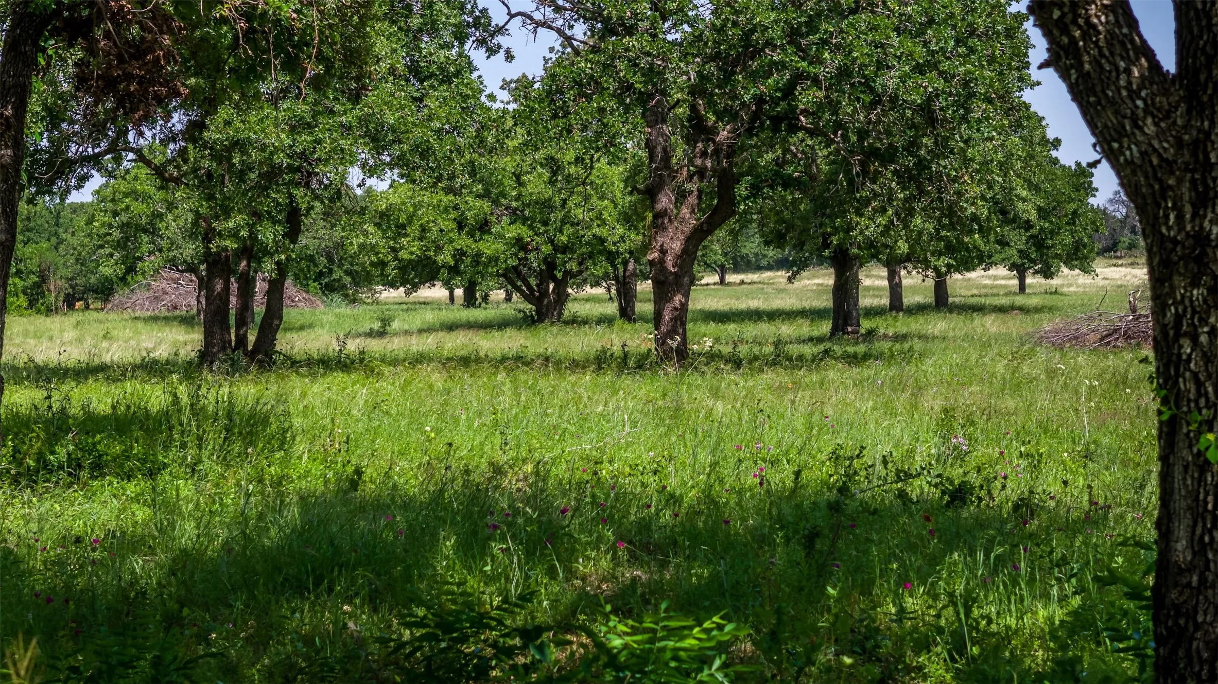 Unimproved Land For Sale in Erath County , TBD County Road 126, Gordon, Texas 76453, 0, 0, Garage spaces, 0 Sqft, built in 0, mls#21302355, Real Estate Agent in Gordon, Homes For Sale in Erath county, Homes For Sale in Gordon, Realtor in Gordon Texas, Real Estate Brokerage Independent Realty Texas, Luminita Cordes Realtor