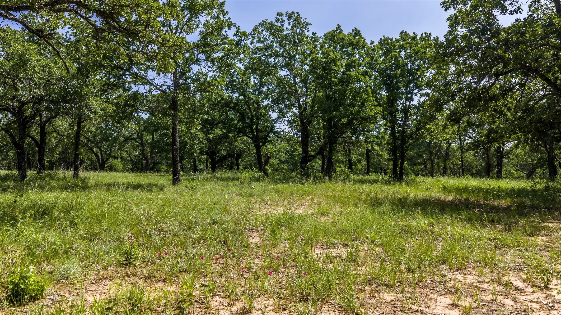 Unimproved Land For Sale in Erath County , TBD County Road 126, Gordon, Texas 76453, 0, 0, Garage spaces, 0 Sqft, built in 0, mls#21302355, Real Estate Agent in Gordon, Homes For Sale in Erath county, Homes For Sale in Gordon, Realtor in Gordon Texas, Real Estate Brokerage Independent Realty Texas, Luminita Cordes Realtor