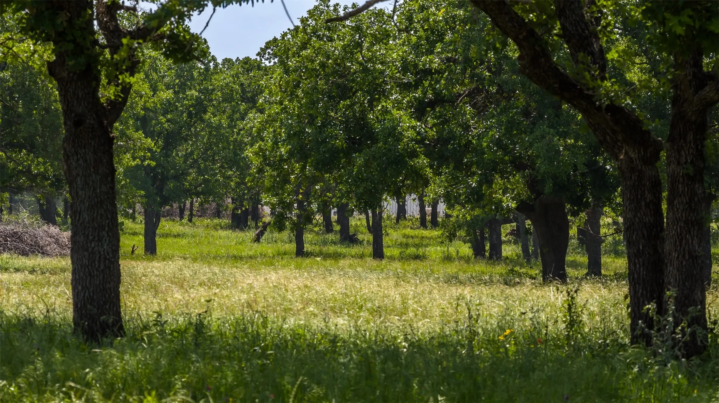 Unimproved Land For Sale in Erath County , TBD County Road 126, Gordon, Texas 76453, 0, 0, Garage spaces, 0 Sqft, built in 0, mls#21302355, Real Estate Agent in Gordon, Homes For Sale in Erath county, Homes For Sale in Gordon, Realtor in Gordon Texas, Real Estate Brokerage Independent Realty Texas, Luminita Cordes Realtor