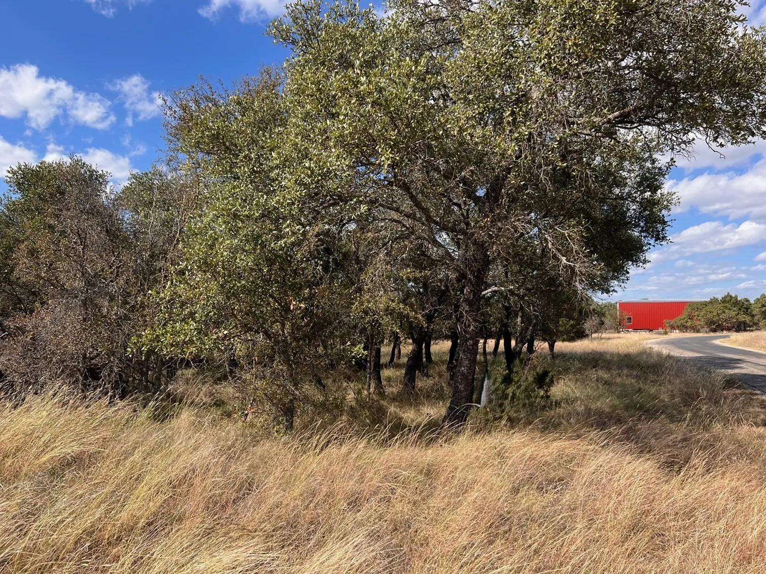 Unimproved Land For Sale in Brown County , TBD - Lot 31 County Road 600, Brownwood, Texas 76801, 0, 0, Garage spaces, 0 Sqft, built in 0, mls#21302362, Real Estate Agent in Brownwood, Homes For Sale in Brown county, Homes For Sale in Brownwood, Realtor in Brownwood Texas, Real Estate Brokerage Independent Realty Texas, Luminita Cordes Realtor