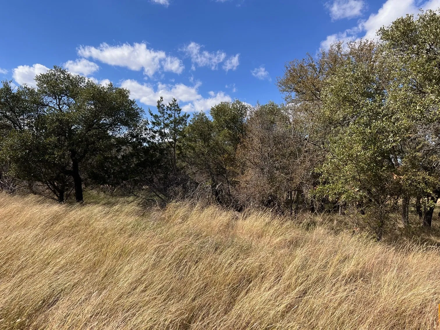 Unimproved Land For Sale in Brown County , TBD - Lot 31 County Road 600, Brownwood, Texas 76801, 0, 0, Garage spaces, 0 Sqft, built in 0, mls#21302362, Real Estate Agent in Brownwood, Homes For Sale in Brown county, Homes For Sale in Brownwood, Realtor in Brownwood Texas, Real Estate Brokerage Independent Realty Texas, Luminita Cordes Realtor