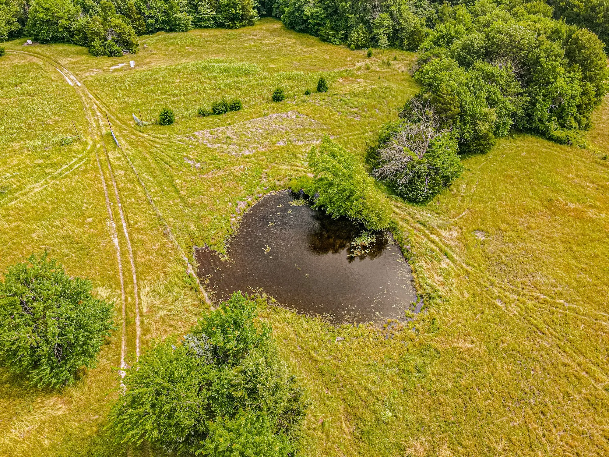 Single Family Residence For Sale in Hunt County , 5538 County Road 3214, Lone Oak, Texas 75453, 3 Bedroom, 2 Bathroom, Garage spaces, 1,478 Sqft, built in 2004, mls#21301749, Real Estate Agent in Lone Oak, Homes For Sale in Hunt county, Homes For Sale in Lone Oak, Realtor in Lone Oak Texas, Real Estate Brokerage Independent Realty Texas, Luminita Cordes Realtor