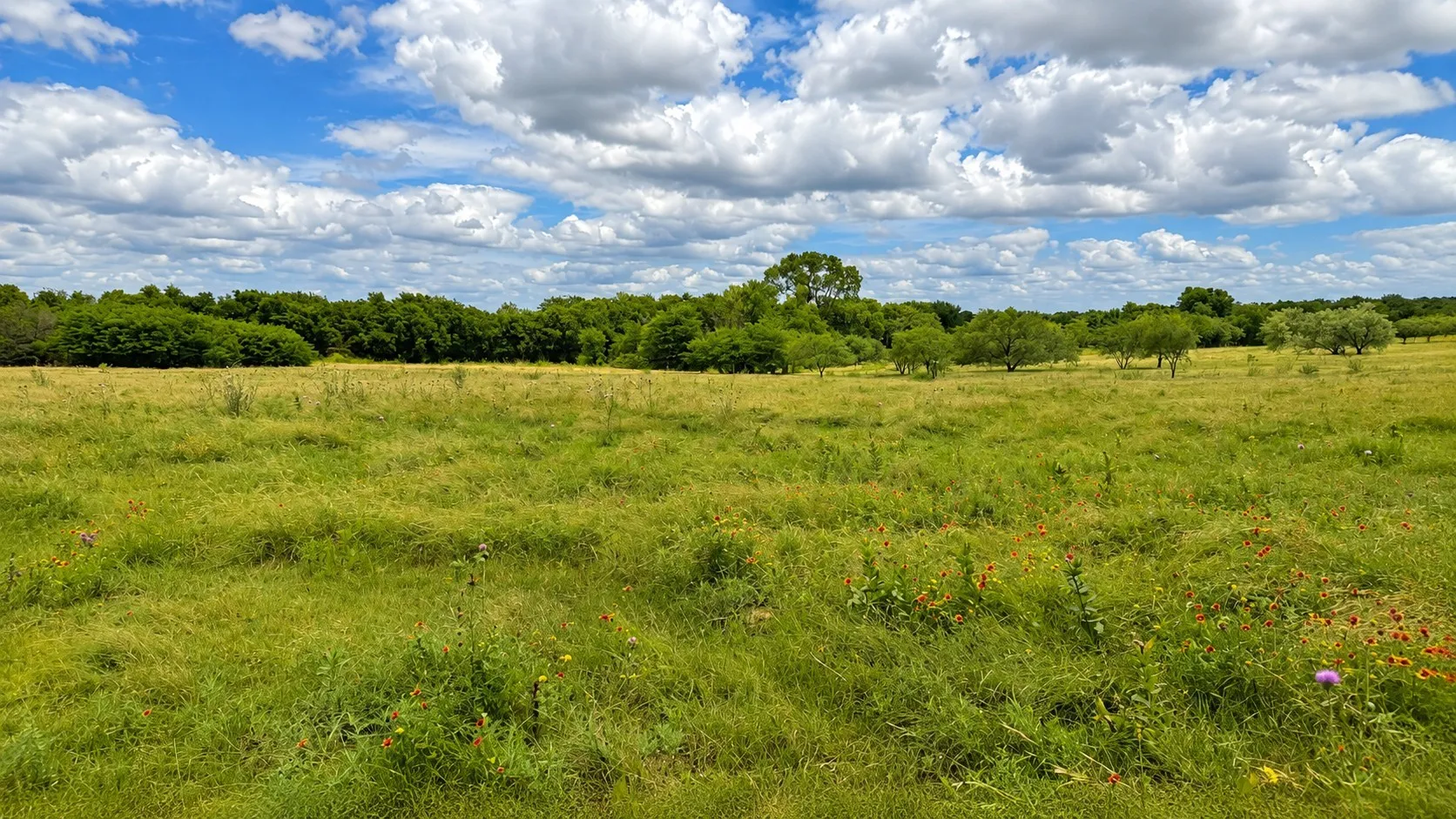 Farm For Sale in Cooke County , 1444 County Road 218, Gainesville, Texas 76240, 3 Bedroom, 2 Bathroom, Garage spaces, 2,175 Sqft, built in 1960, mls#21301432, Real Estate Agent in Gainesville, Homes For Sale in Cooke county, Homes For Sale in Gainesville, Realtor in Gainesville Texas, Real Estate Brokerage Independent Realty Texas, Luminita Cordes Realtor