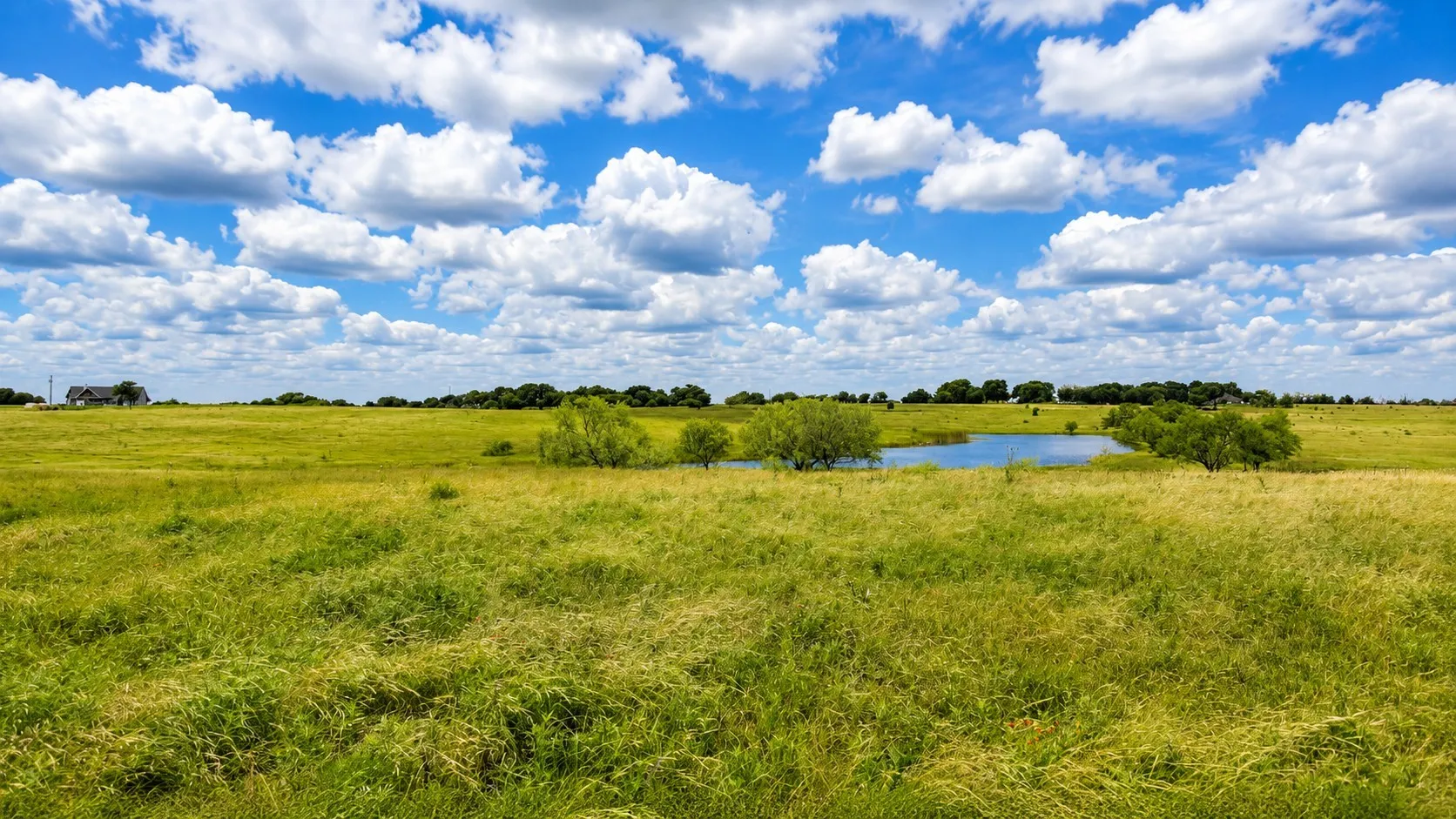 Farm For Sale in Cooke County , 1444 County Road 218, Gainesville, Texas 76240, 3 Bedroom, 2 Bathroom, Garage spaces, 2,175 Sqft, built in 1960, mls#21301432, Real Estate Agent in Gainesville, Homes For Sale in Cooke county, Homes For Sale in Gainesville, Realtor in Gainesville Texas, Real Estate Brokerage Independent Realty Texas, Luminita Cordes Realtor