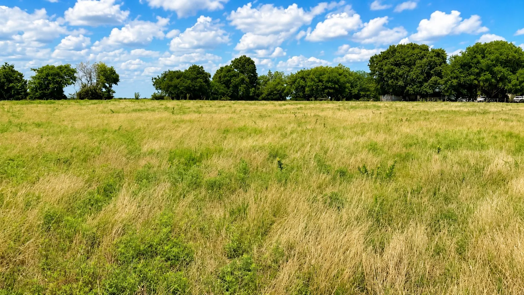 Farm For Sale in Cooke County , 1444 County Road 218, Gainesville, Texas 76240, 3 Bedroom, 2 Bathroom, Garage spaces, 2,175 Sqft, built in 1960, mls#21301432, Real Estate Agent in Gainesville, Homes For Sale in Cooke county, Homes For Sale in Gainesville, Realtor in Gainesville Texas, Real Estate Brokerage Independent Realty Texas, Luminita Cordes Realtor