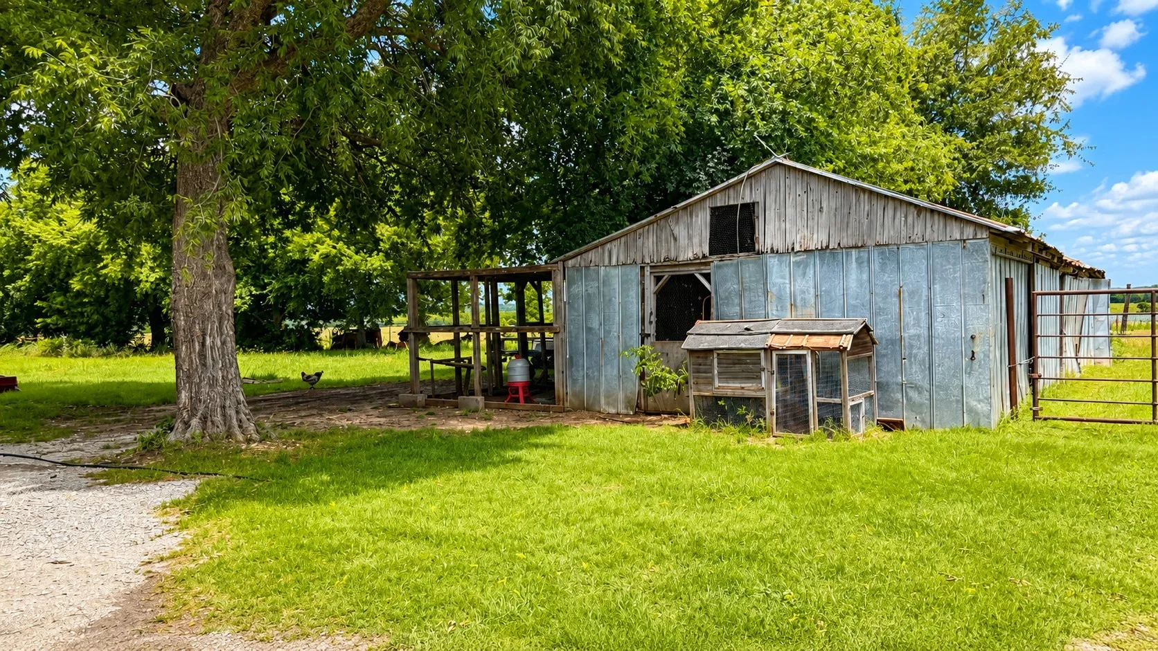 Farm For Sale in Cooke County , 1444 County Road 218, Gainesville, Texas 76240, 3 Bedroom, 2 Bathroom, Garage spaces, 2,175 Sqft, built in 1960, mls#21301432, Real Estate Agent in Gainesville, Homes For Sale in Cooke county, Homes For Sale in Gainesville, Realtor in Gainesville Texas, Real Estate Brokerage Independent Realty Texas, Luminita Cordes Realtor