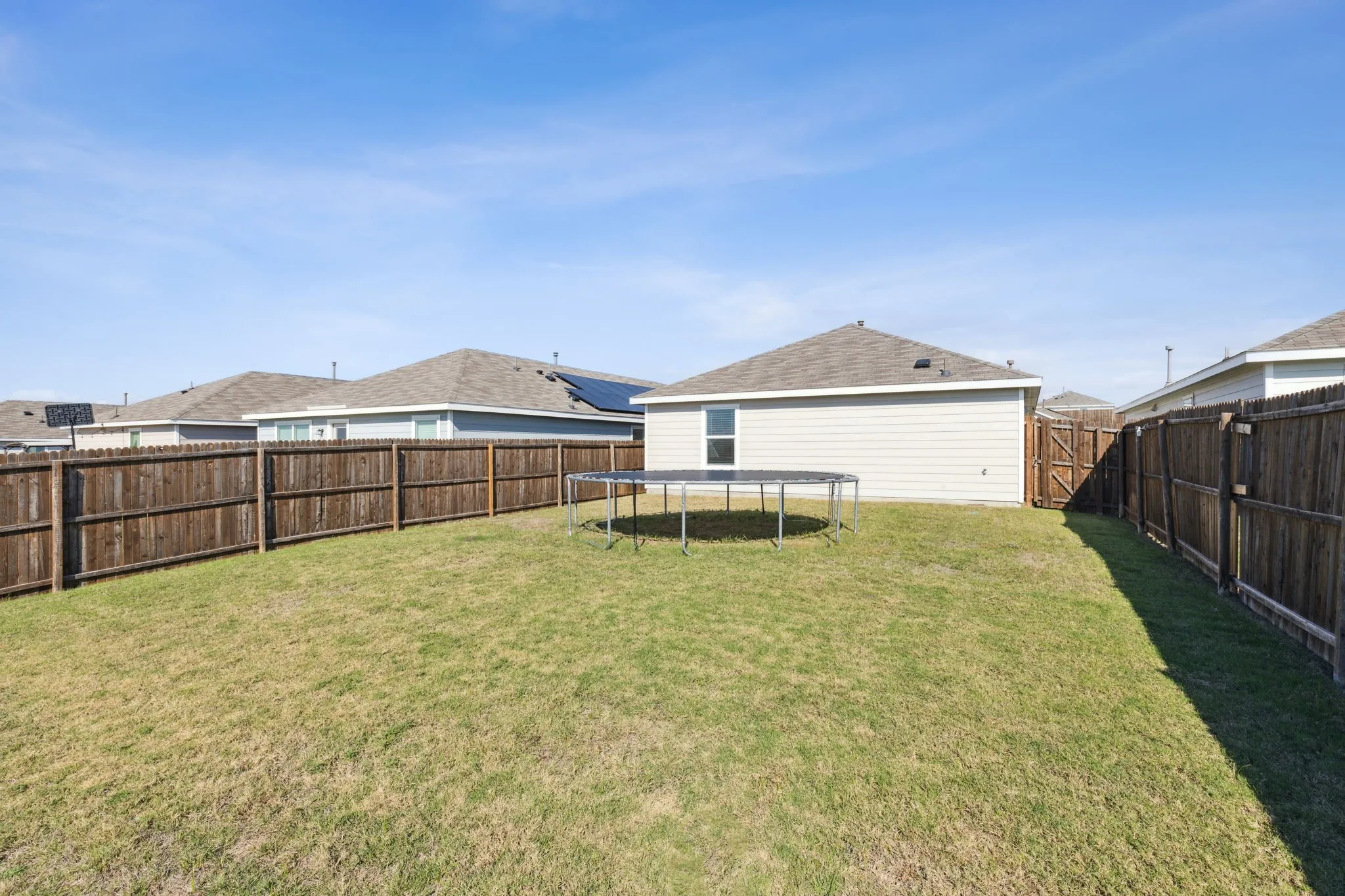 Another view of the back yard.