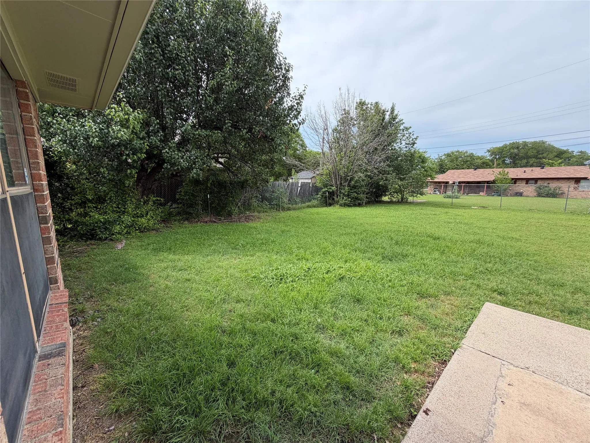 Backyard