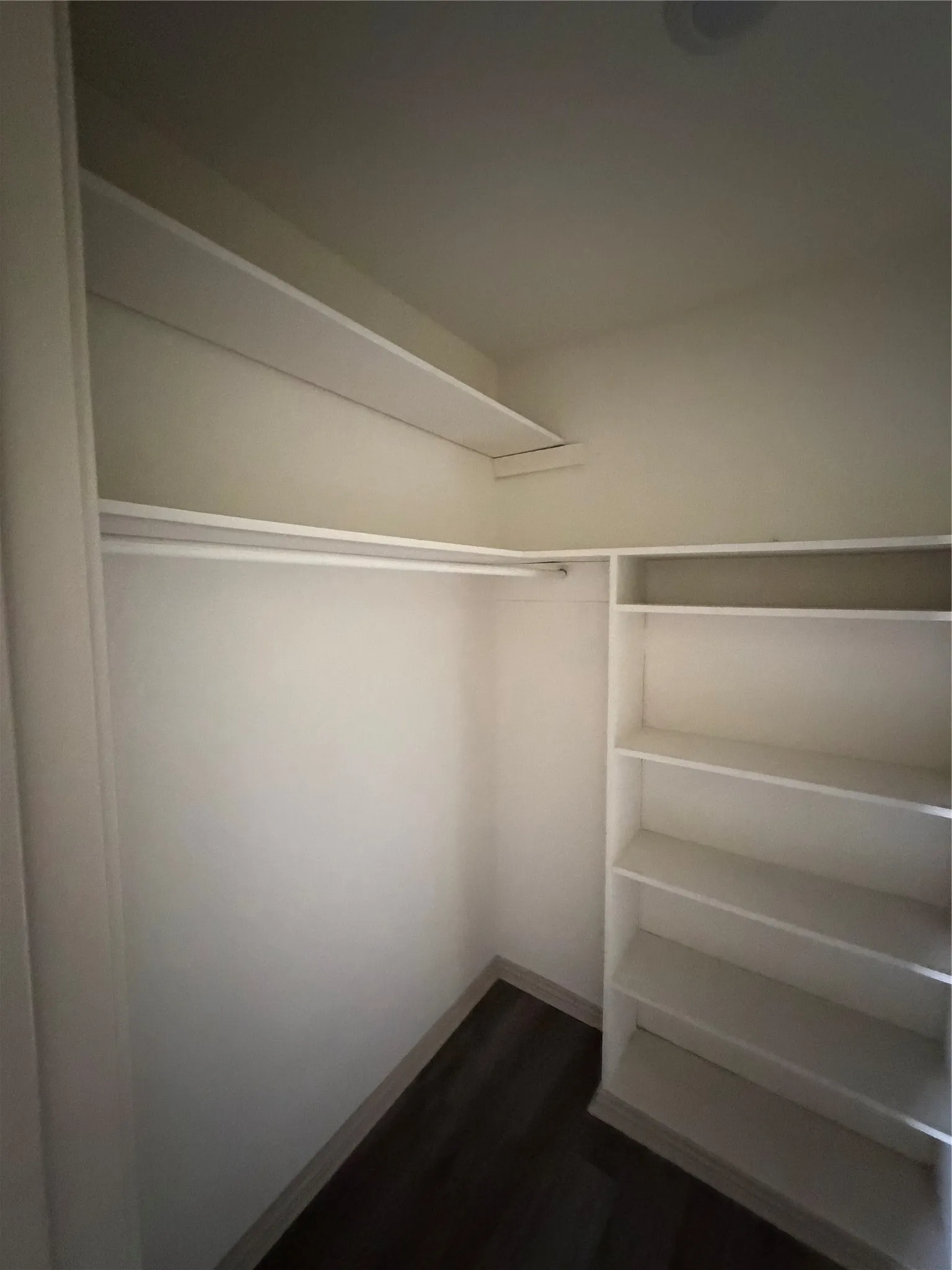 Primary Closet