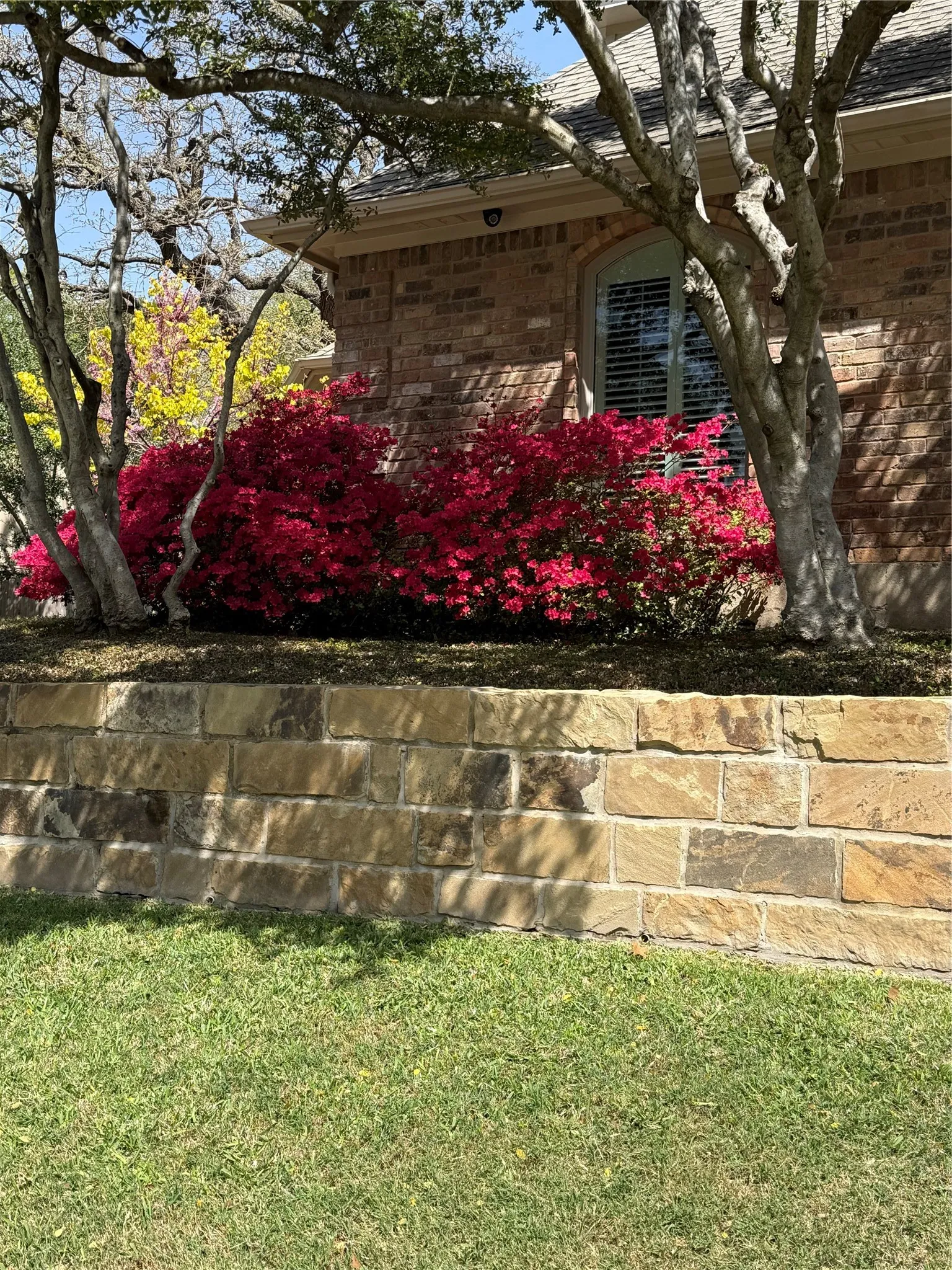 Single Family Residence For Sale in Tarrant County , 907 Loch Lomond Drive, Arlington, Texas 76012, 4 Bedroom, 4 Bathroom, 2 Garage spaces, 3,209 Sqft, built in 1979, mls#21244587, Real Estate Agent in Arlington, Homes For Sale in Tarrant county, Homes For Sale in Arlington, Realtor in Arlington Texas, Real Estate Brokerage Independent Realty Texas, Luminita Cordes Realtor