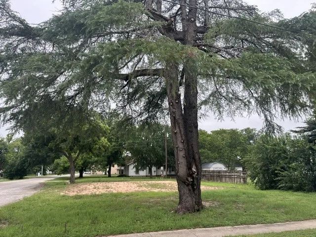 Unimproved Land For Sale in Hamilton County , 303 W First st Street, Hico, Texas 76457, 0, 0, Garage spaces, 0 Sqft, built in 0, Price $295,000, mls#21302221, Real Estate Agent in Hico, Homes For Sale in Hamilton county, Homes For Sale in Hico, Realtor in Hico Texas, Real Estate Brokerage Independent Realty Texas, Luminita Cordes Realtor