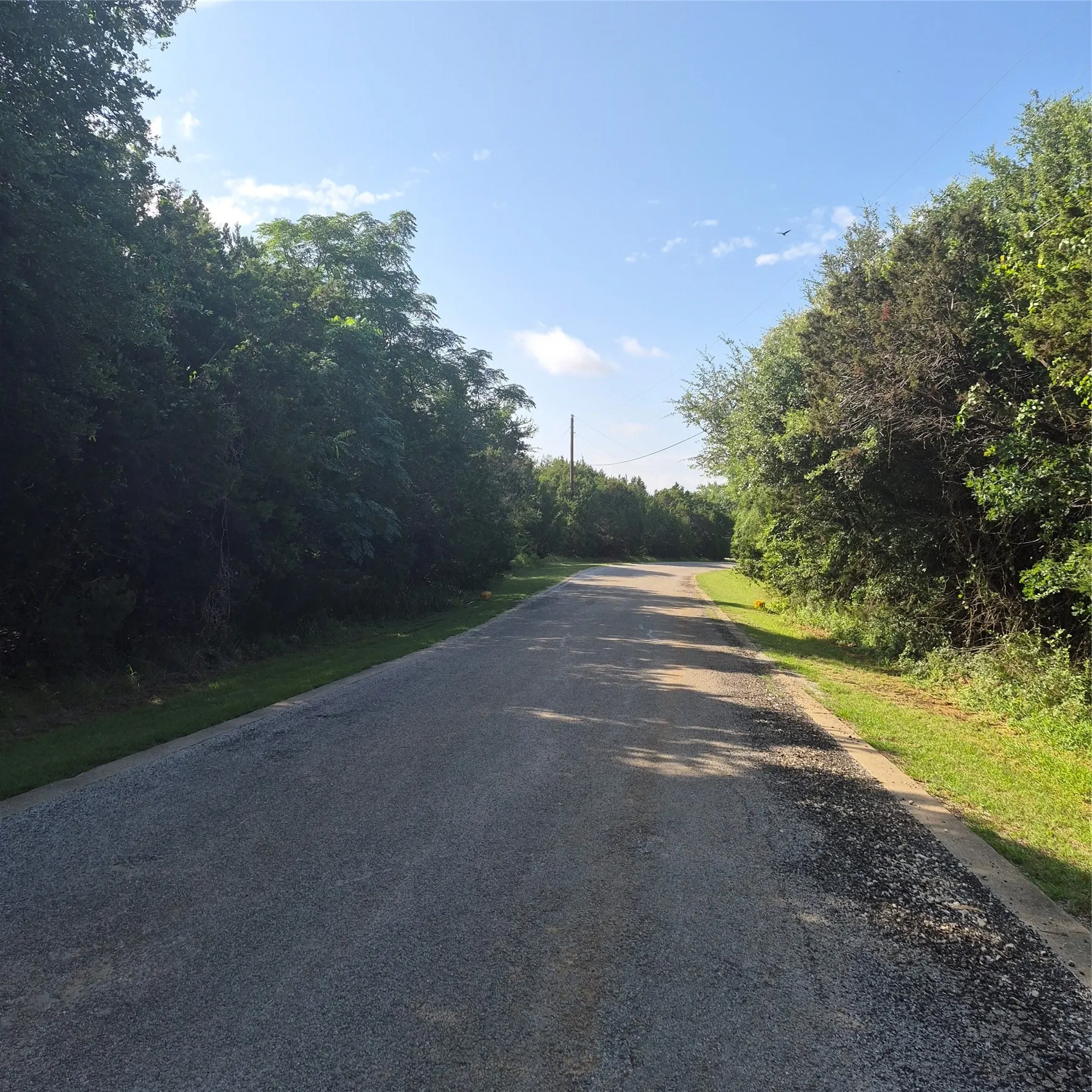 Paved road bordered by natural foliage