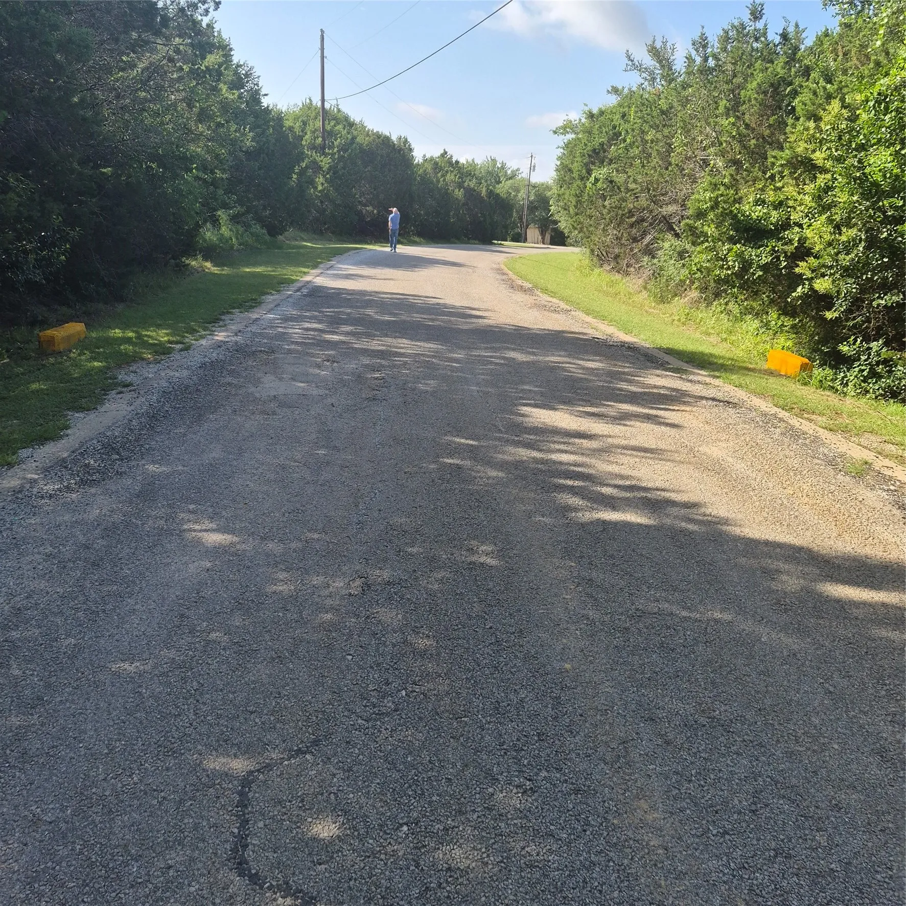 Gravel road surrounded by mature trees and natural landscaping