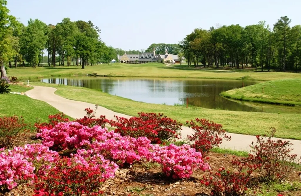Unimproved Land For Sale in Cherokee County , 113 Azalea Trail, Bullard, Texas 75757, 0, 0, Garage spaces, 0 Sqft, built in 0, Price $49,500, mls#21302565, Real Estate Agent in Bullard, Homes For Sale in Cherokee county, Homes For Sale in Bullard, Realtor in Bullard Texas, Real Estate Brokerage Independent Realty Texas, Luminita Cordes Realtor