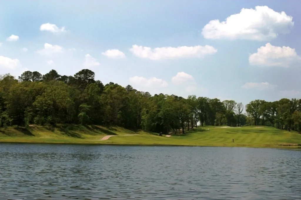 Unimproved Land For Sale in Cherokee County , 113 Azalea Trail, Bullard, Texas 75757, 0, 0, Garage spaces, 0 Sqft, built in 0, Price $49,500, mls#21302565, Real Estate Agent in Bullard, Homes For Sale in Cherokee county, Homes For Sale in Bullard, Realtor in Bullard Texas, Real Estate Brokerage Independent Realty Texas, Luminita Cordes Realtor