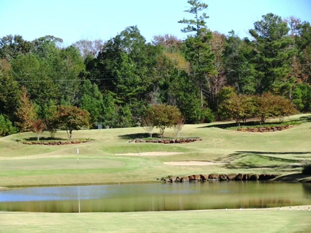 Unimproved Land For Sale in Cherokee County , 113 Azalea Trail, Bullard, Texas 75757, 0, 0, Garage spaces, 0 Sqft, built in 0, Price $49,500, mls#21302565, Real Estate Agent in Bullard, Homes For Sale in Cherokee county, Homes For Sale in Bullard, Realtor in Bullard Texas, Real Estate Brokerage Independent Realty Texas, Luminita Cordes Realtor