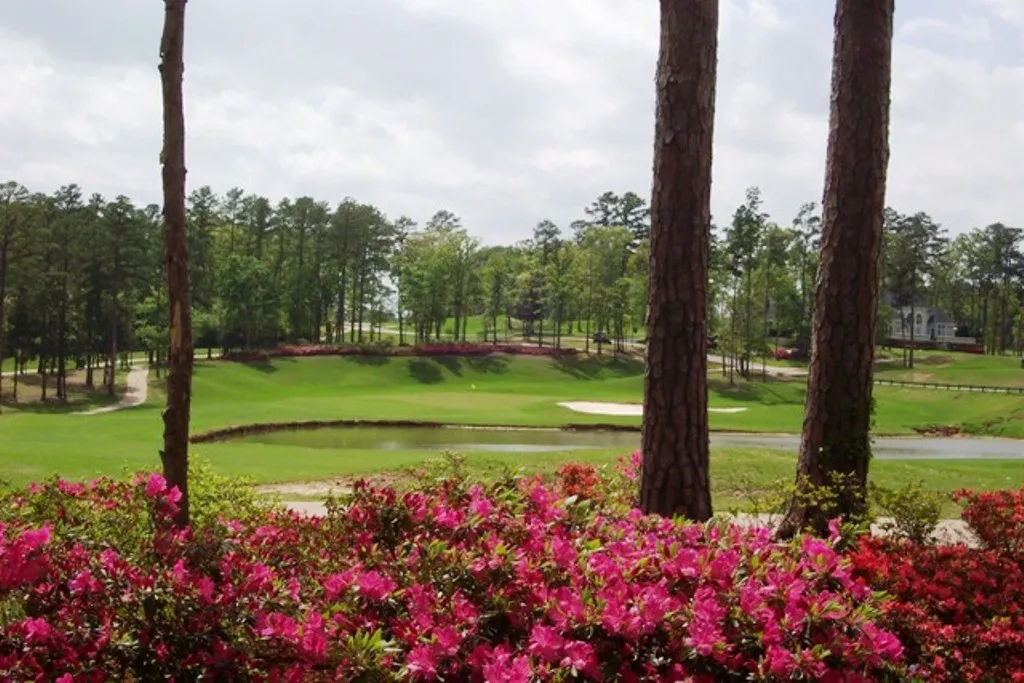 Unimproved Land For Sale in Cherokee County , 113 Azalea Trail, Bullard, Texas 75757, 0, 0, Garage spaces, 0 Sqft, built in 0, Price $49,500, mls#21302565, Real Estate Agent in Bullard, Homes For Sale in Cherokee county, Homes For Sale in Bullard, Realtor in Bullard Texas, Real Estate Brokerage Independent Realty Texas, Luminita Cordes Realtor